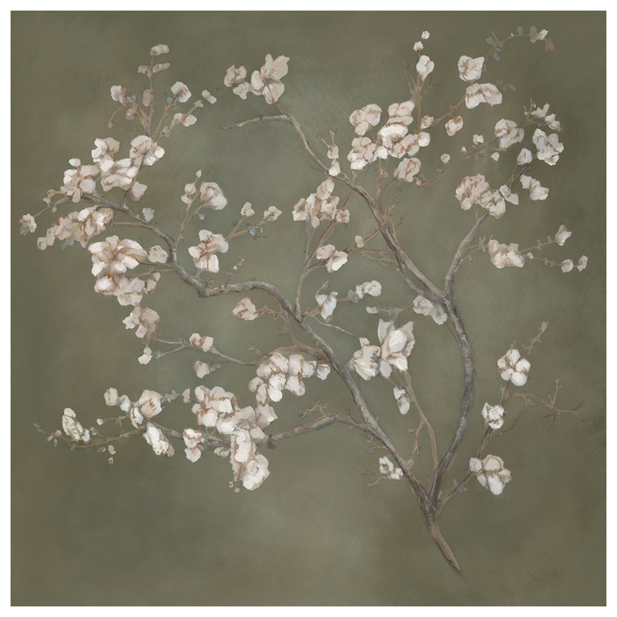 Bloom and Blossom I