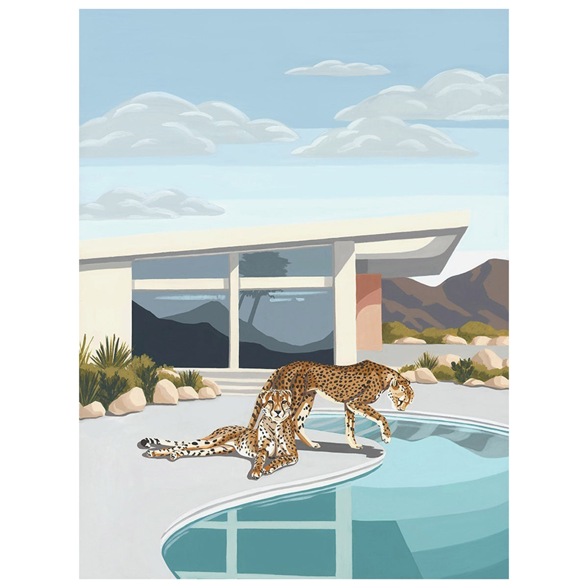 Cheetah Pool Time I