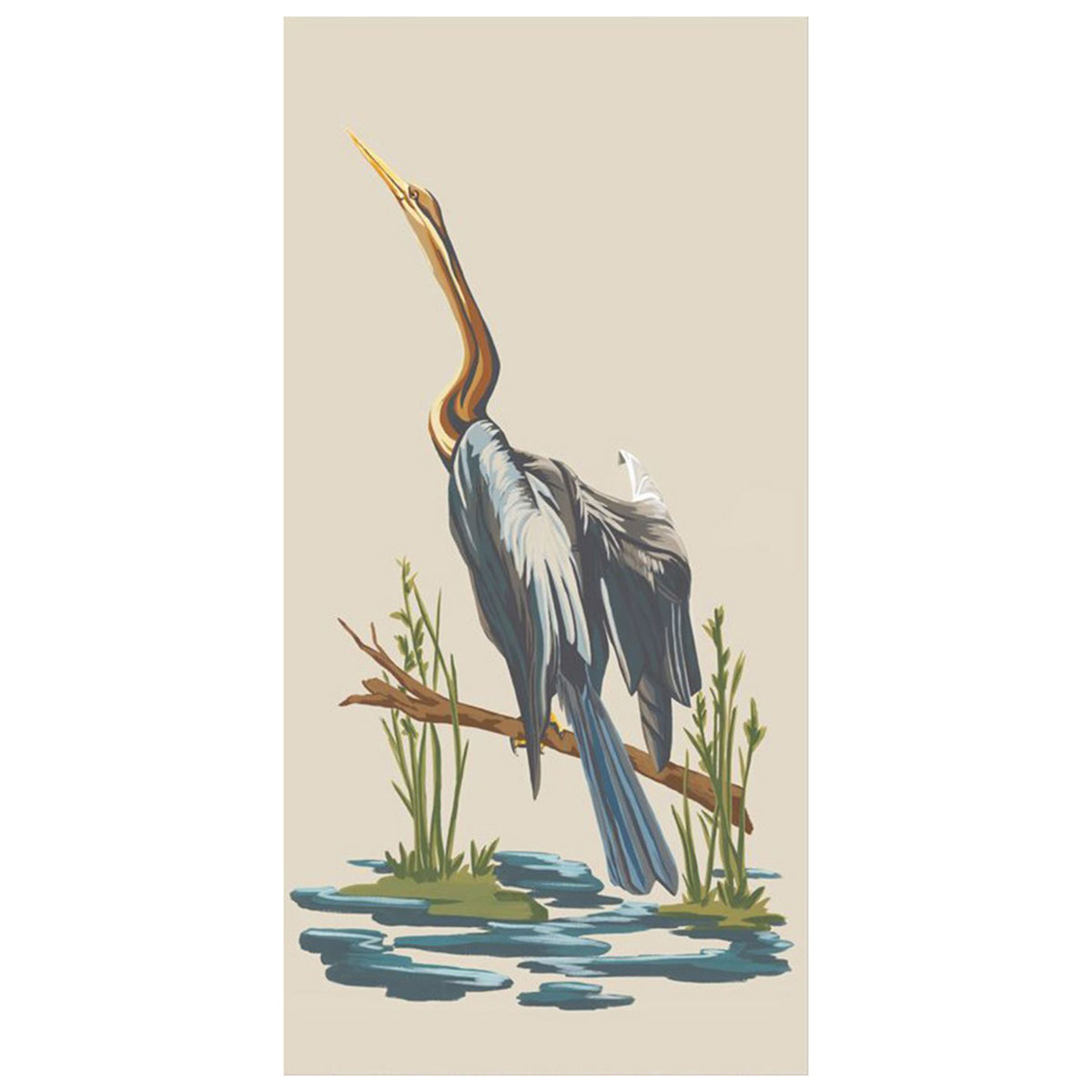 Snake Bird