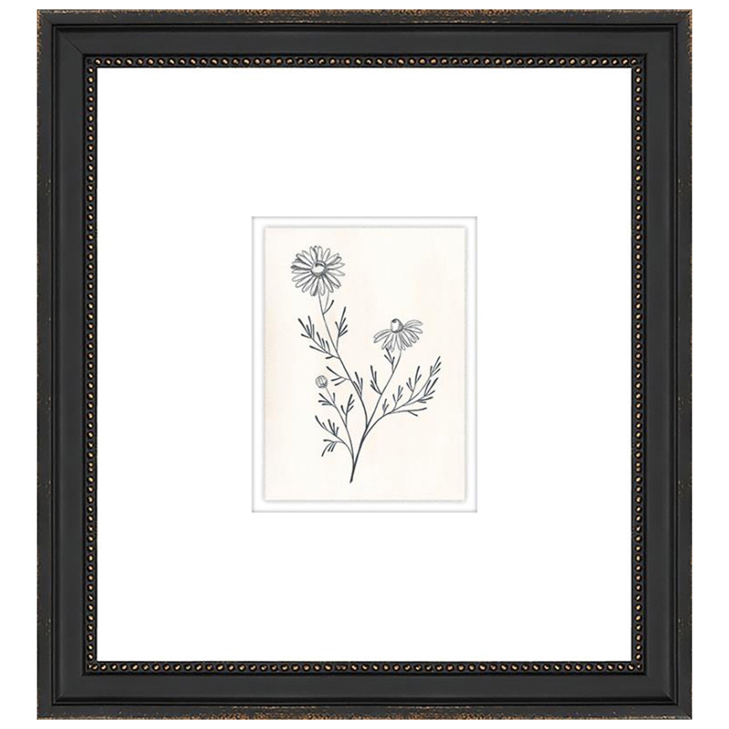 Elegant Botanical VIII