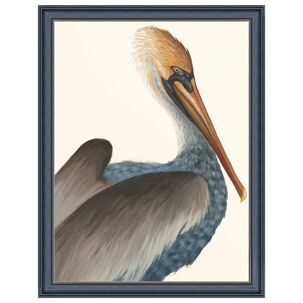 Drawn Pelican II