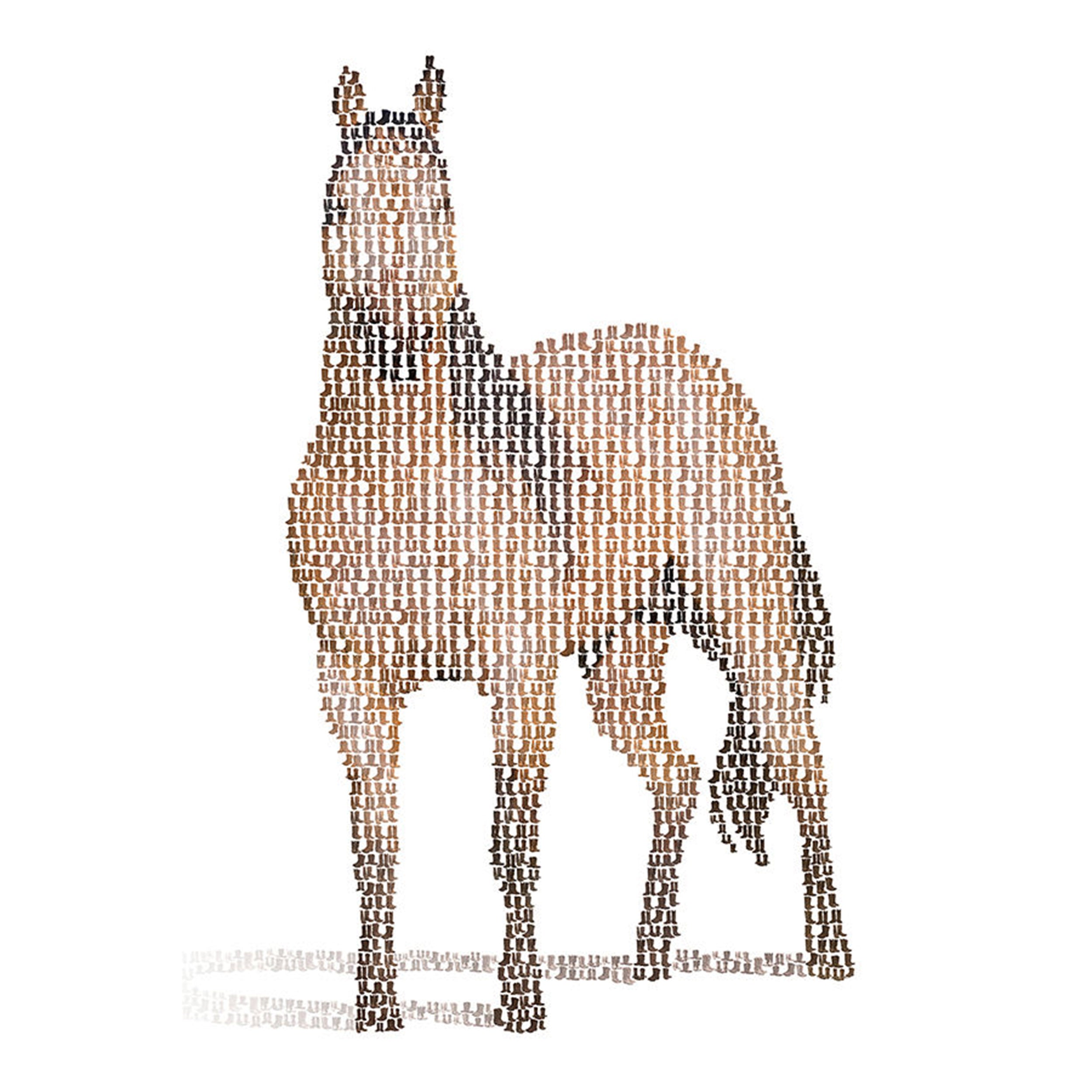 Western Wear I