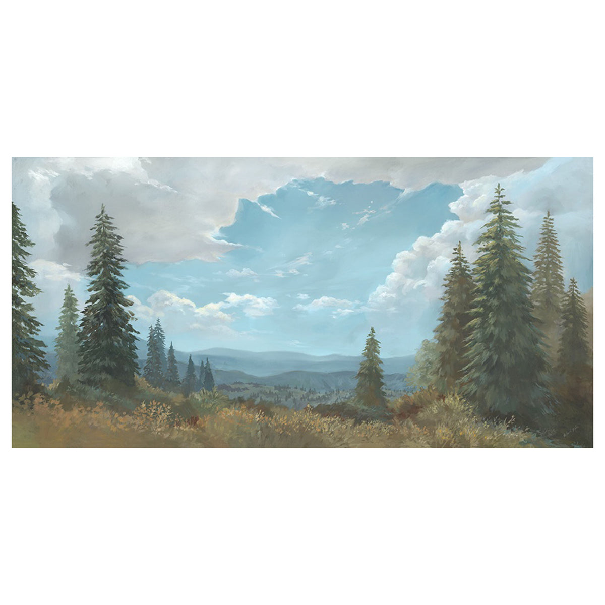 Pines and Sky
