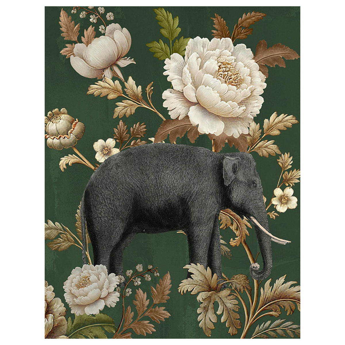 Grace of the Jungle I