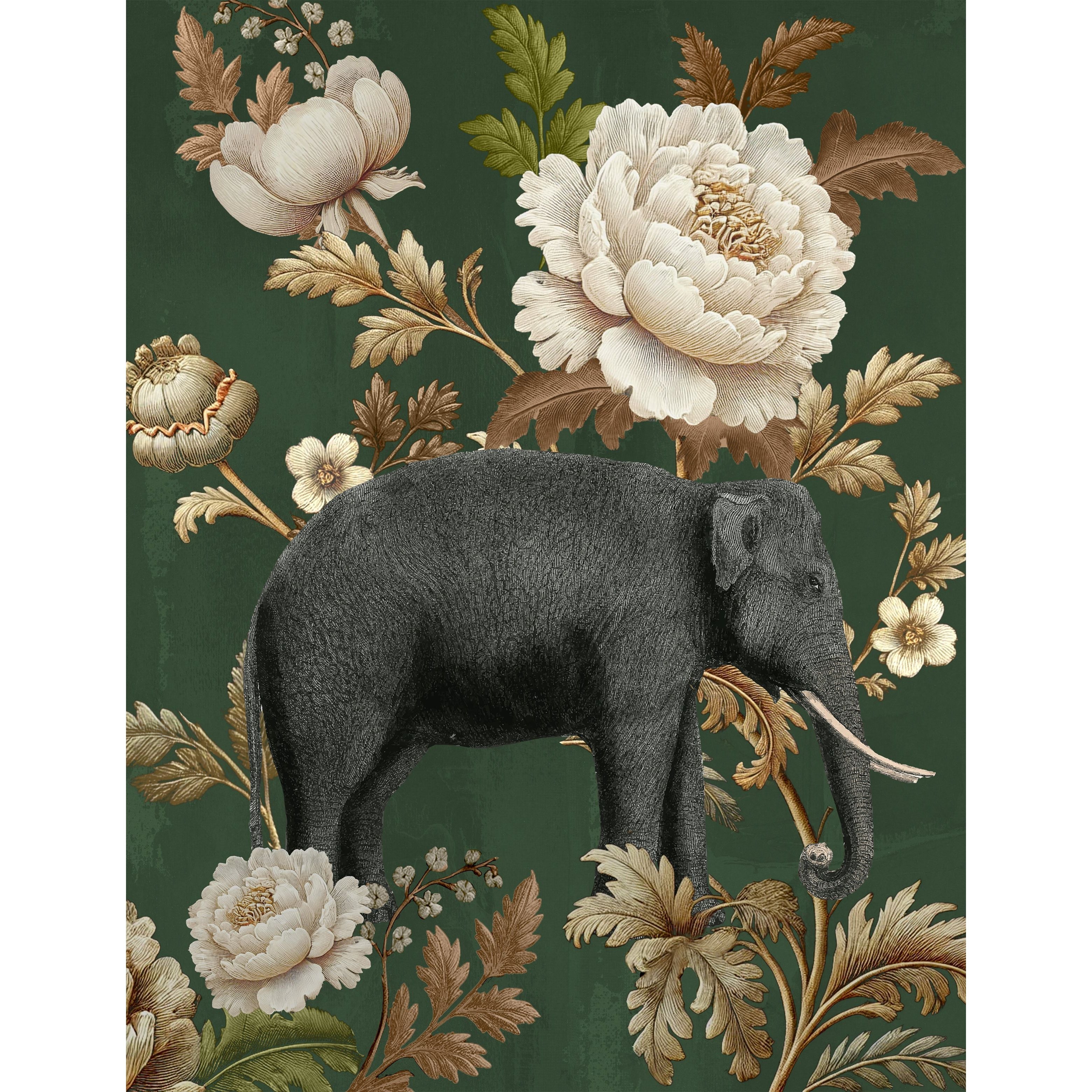 Grace of the Jungle I