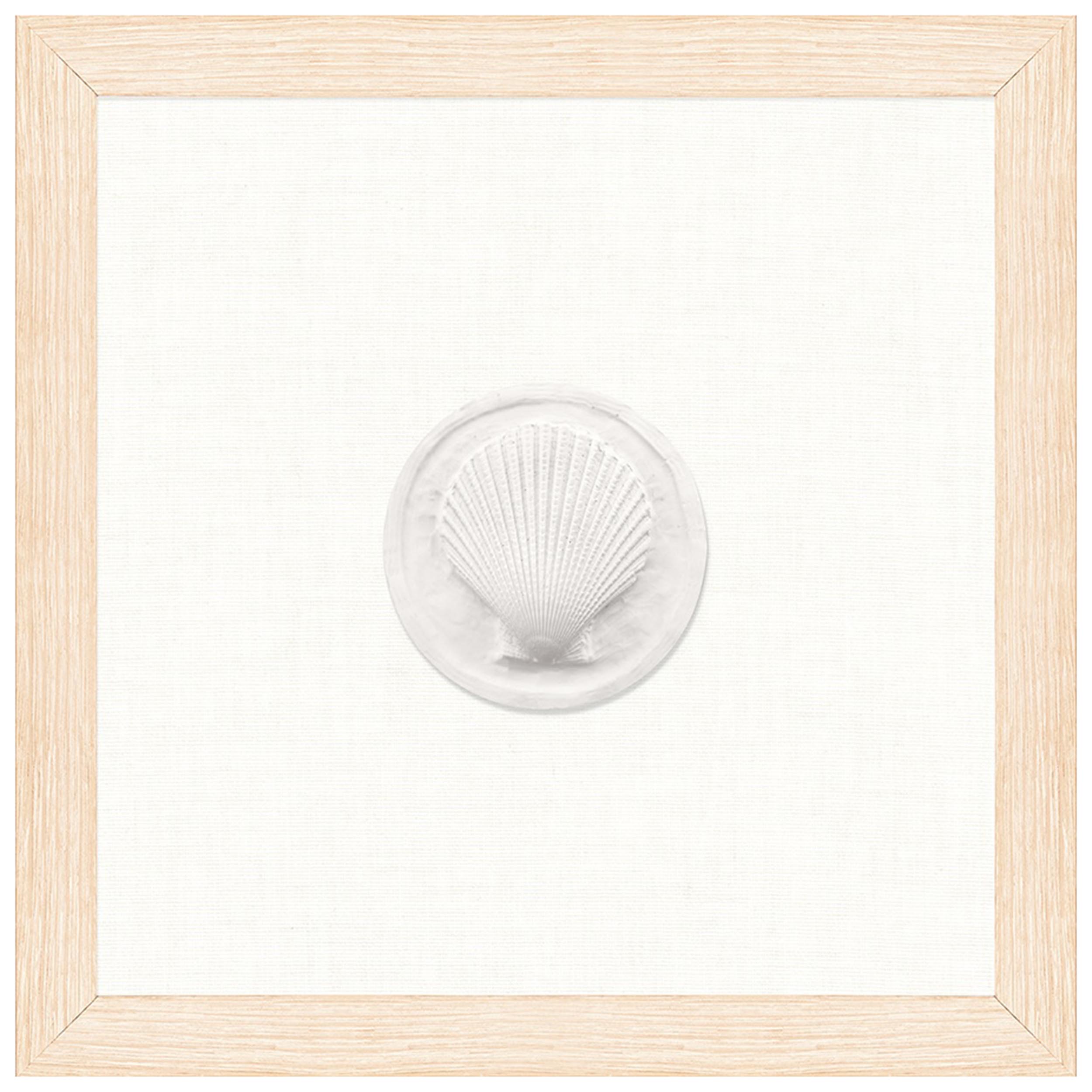 Small Scallop