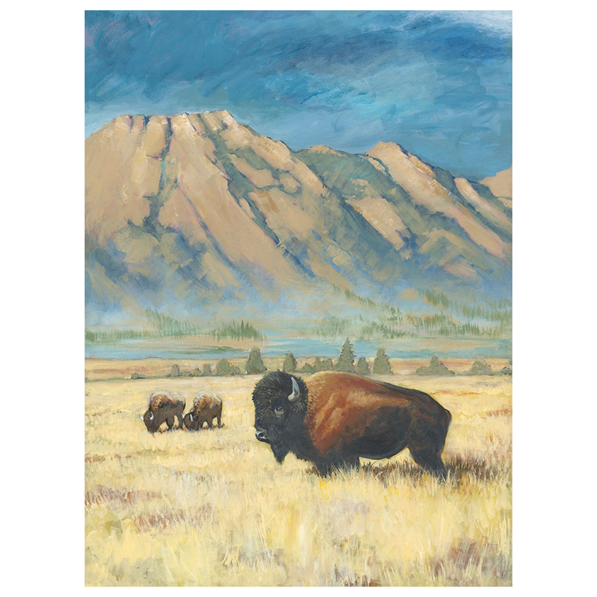 Bison Meadow