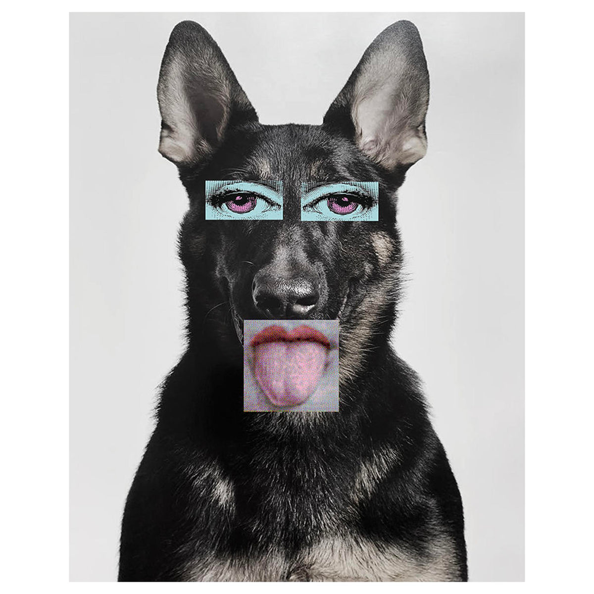 Weird Dog