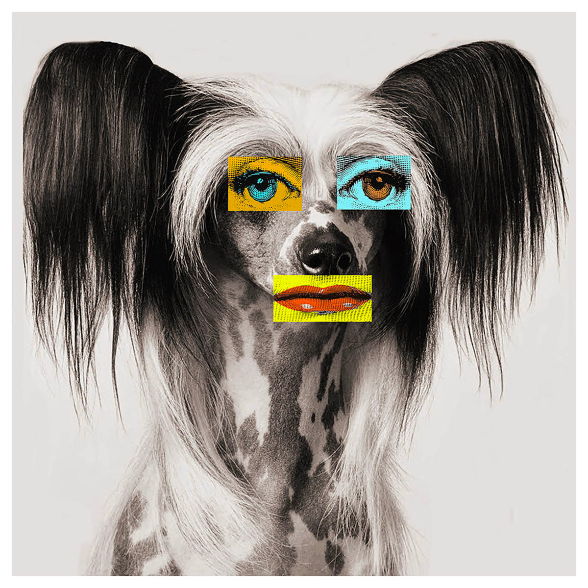 Doggie