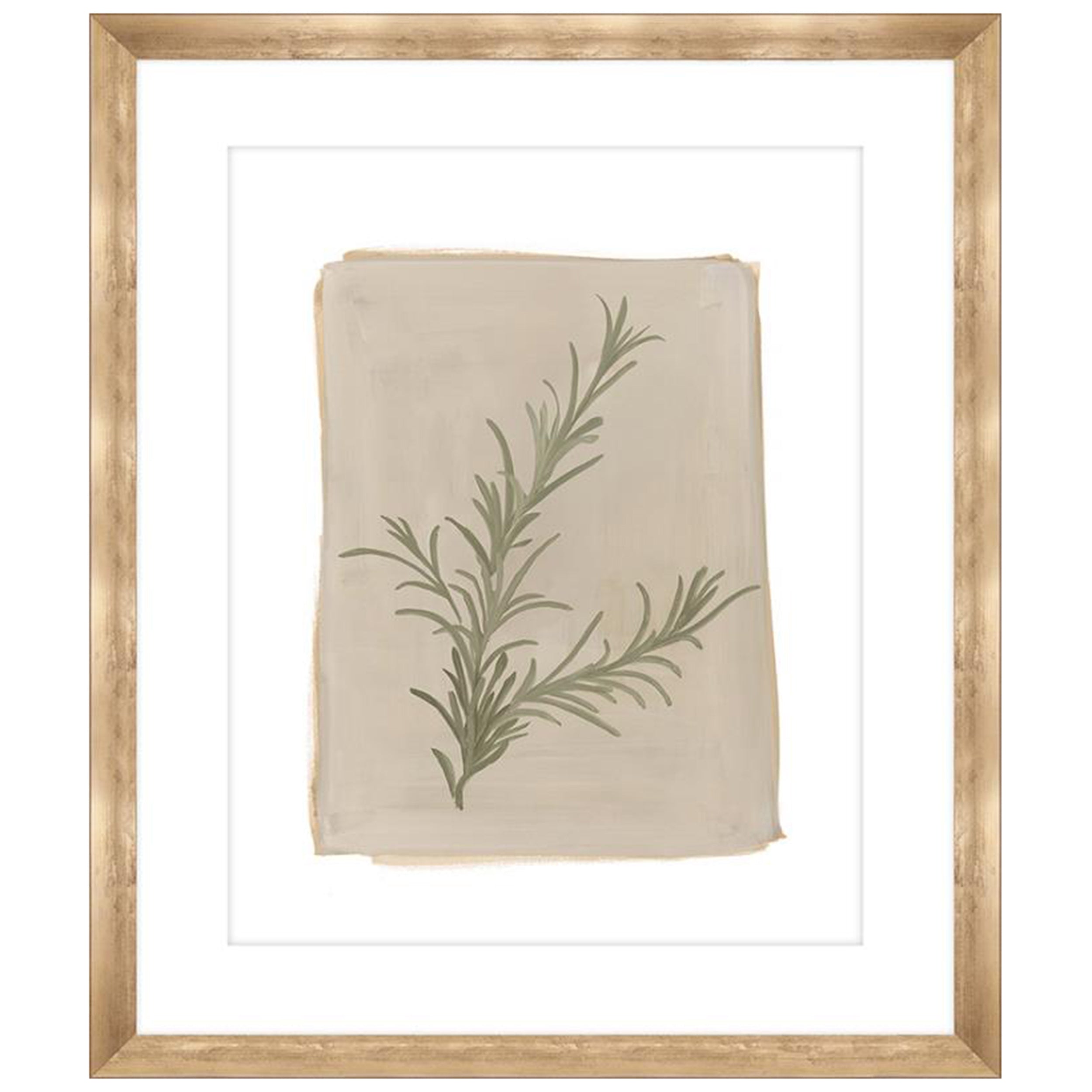 Sedge II
