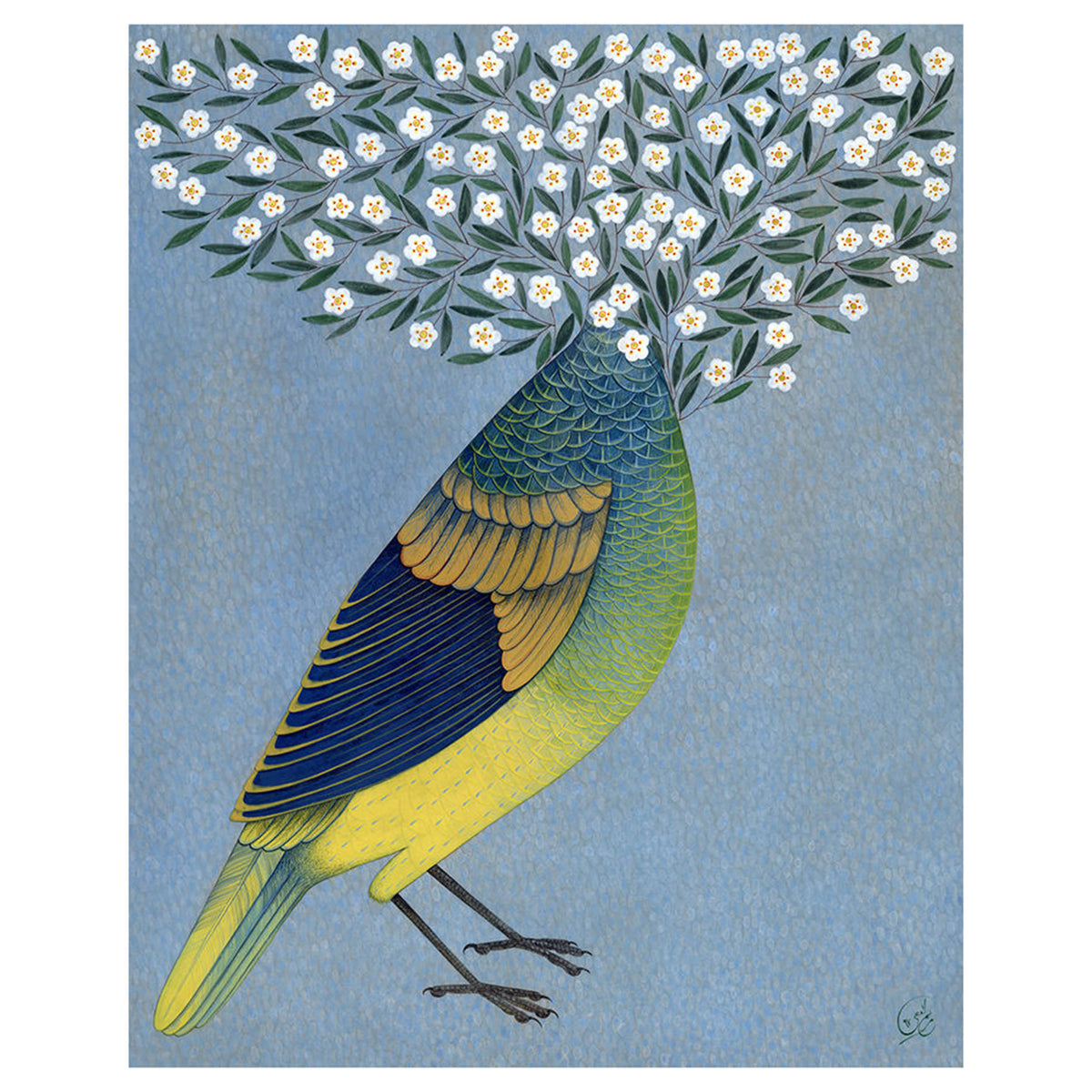 Spring Loyalty