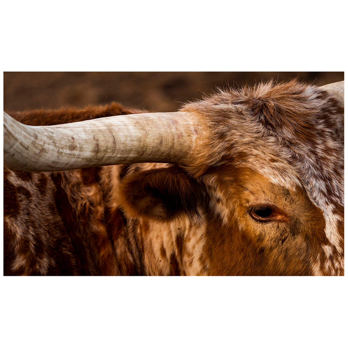 I'm Listening