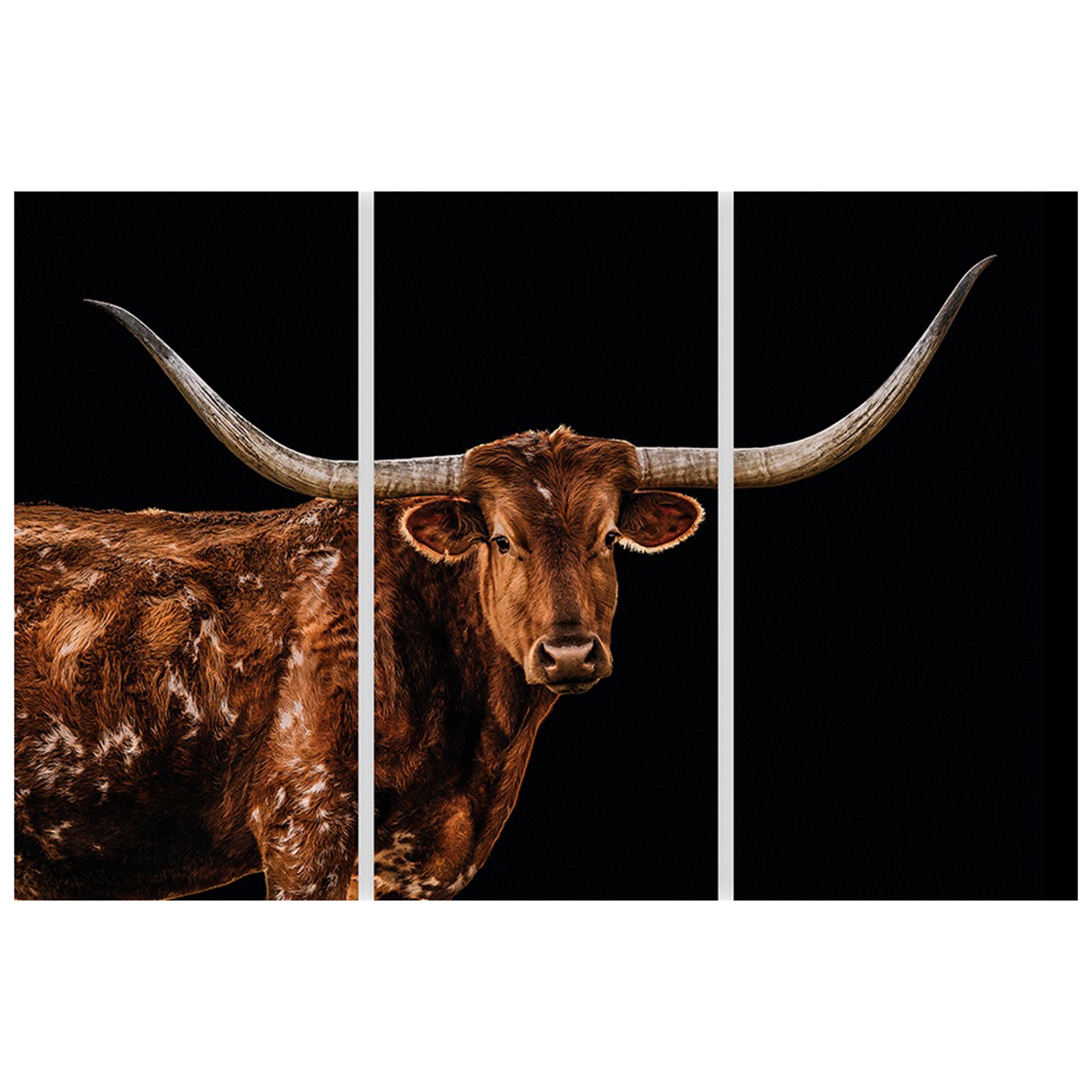 Bigger in Texas Triptych (Set of 3-24 x 48 Each)