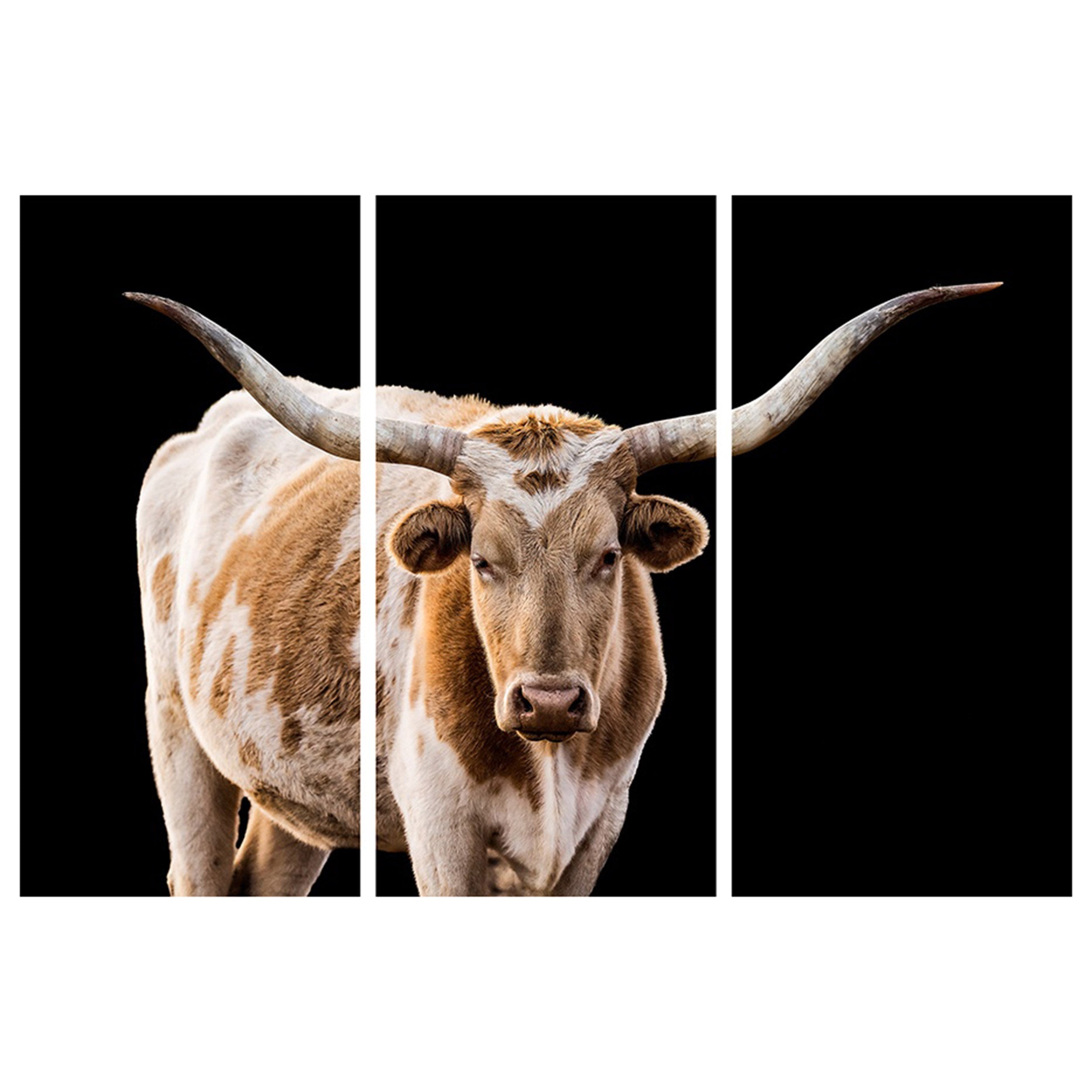 The Texan Triptych (Set of 3-24 x 48 Each)