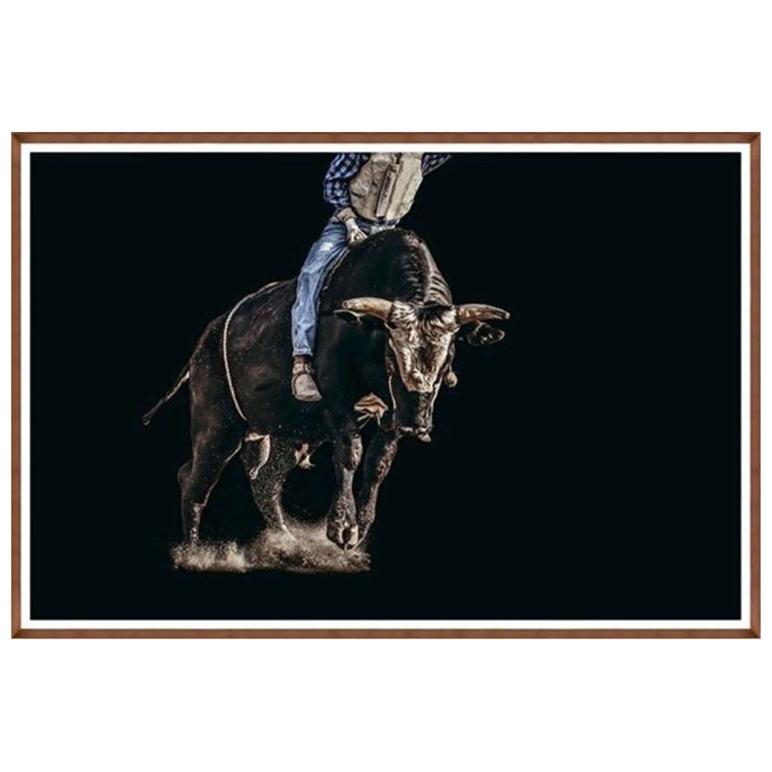 Ride'em Cowboy III