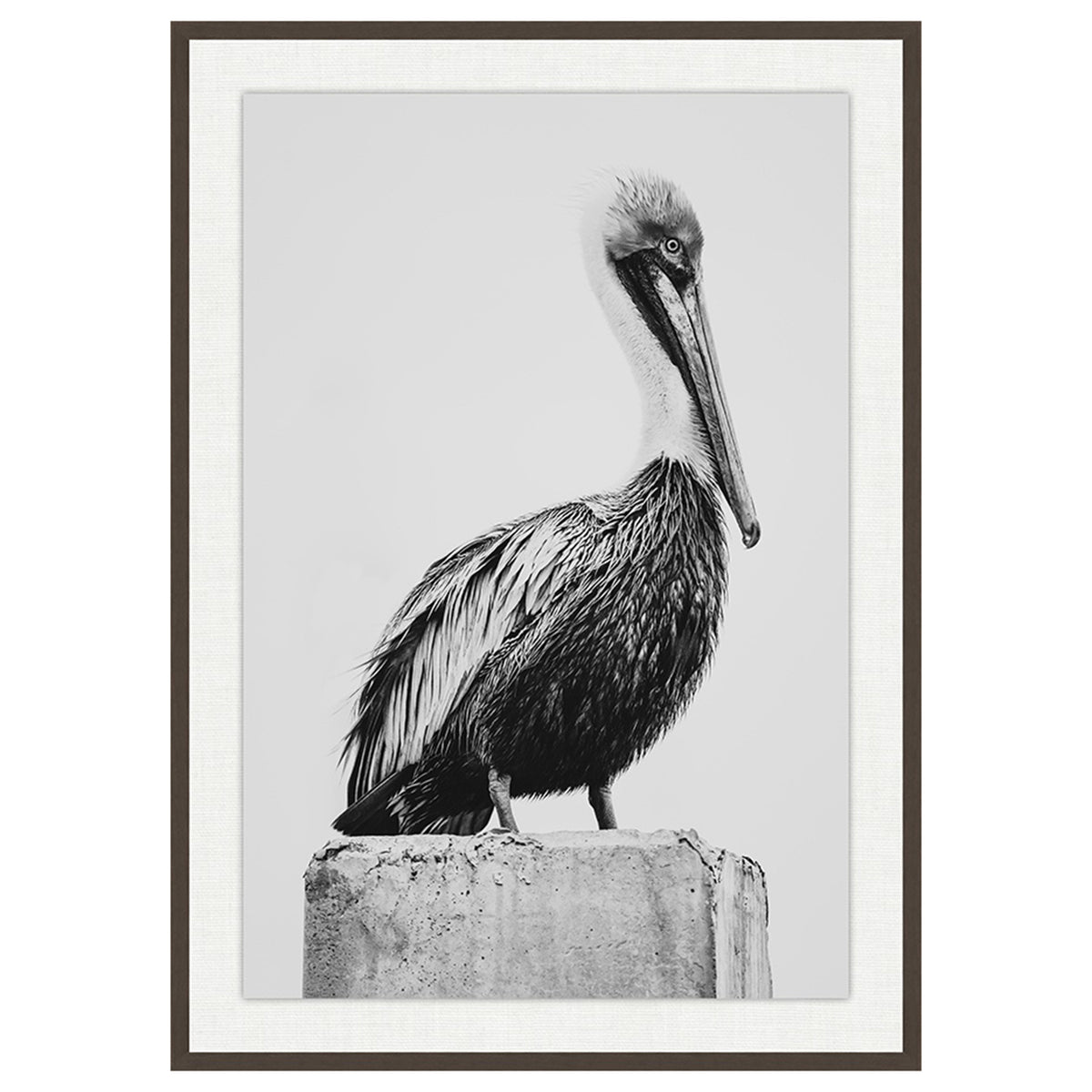 Pelican on a Column II