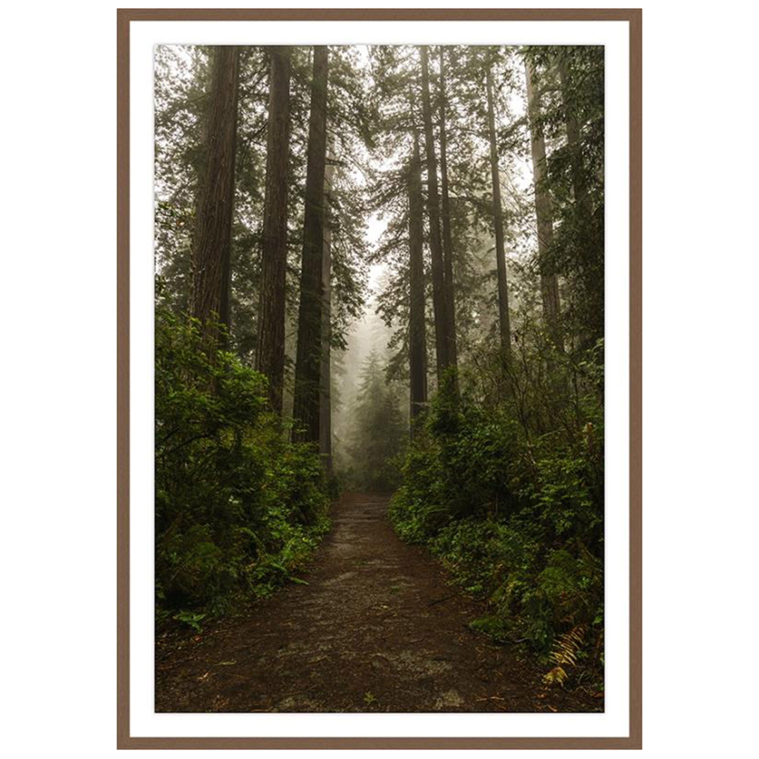 Deep Woods