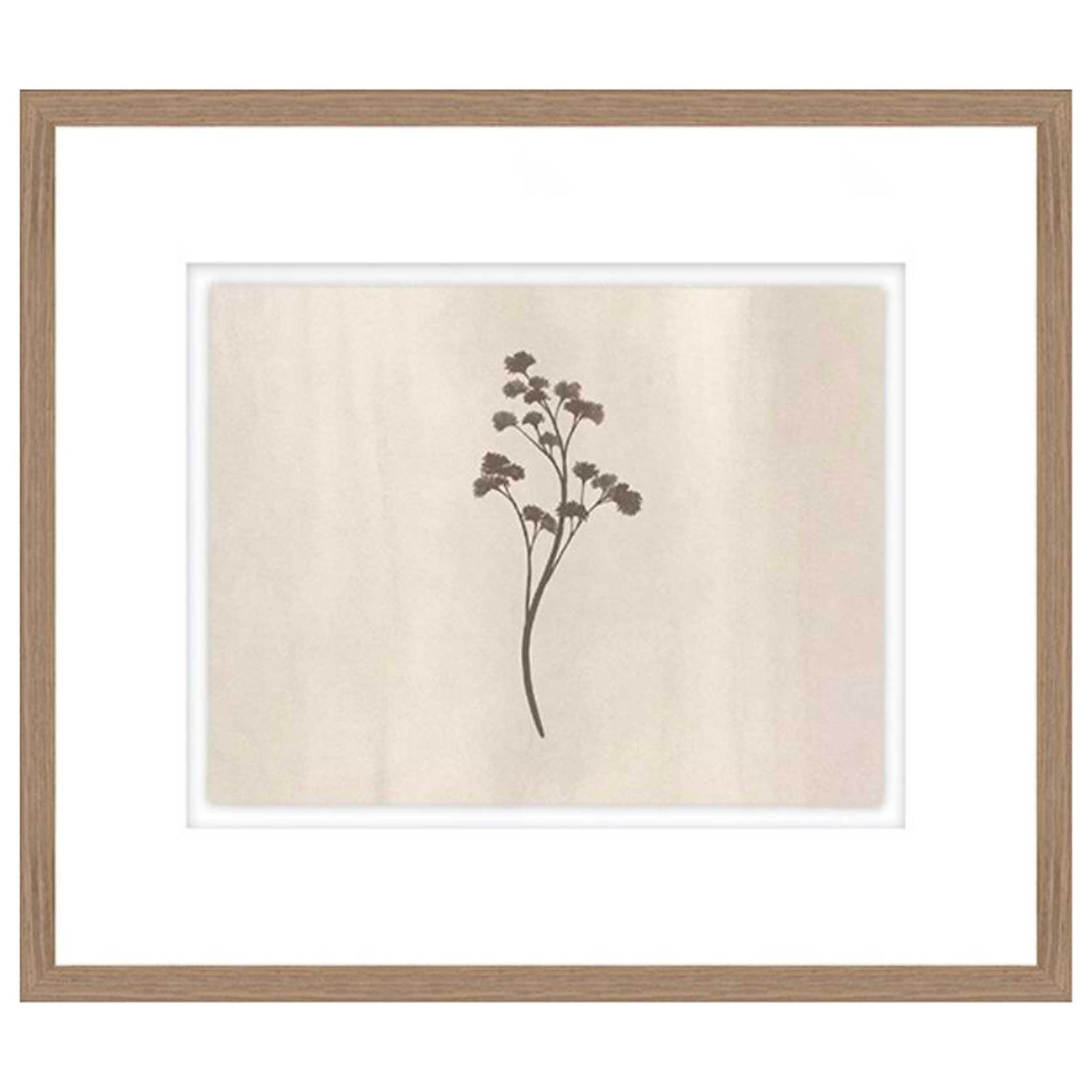 In Bloom II