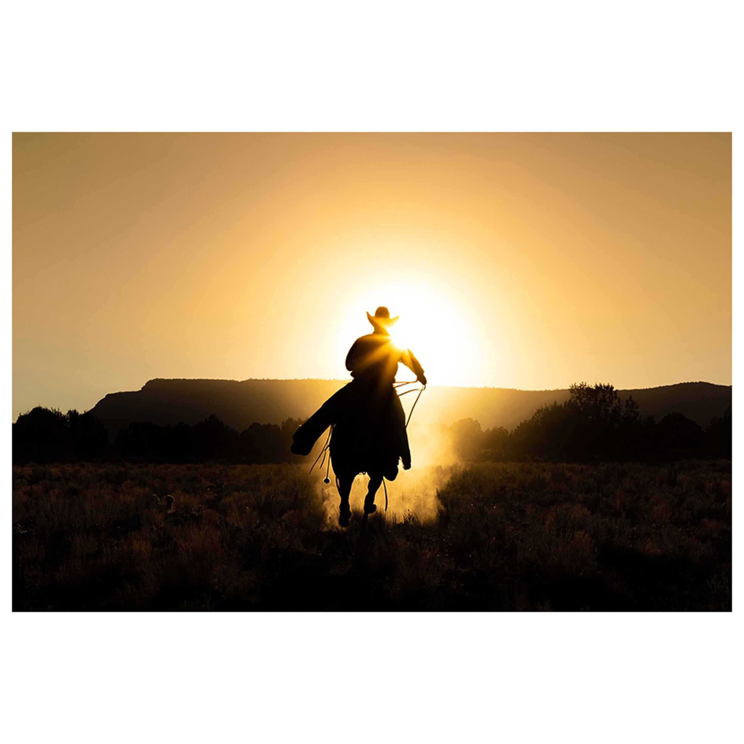 The Cowboy