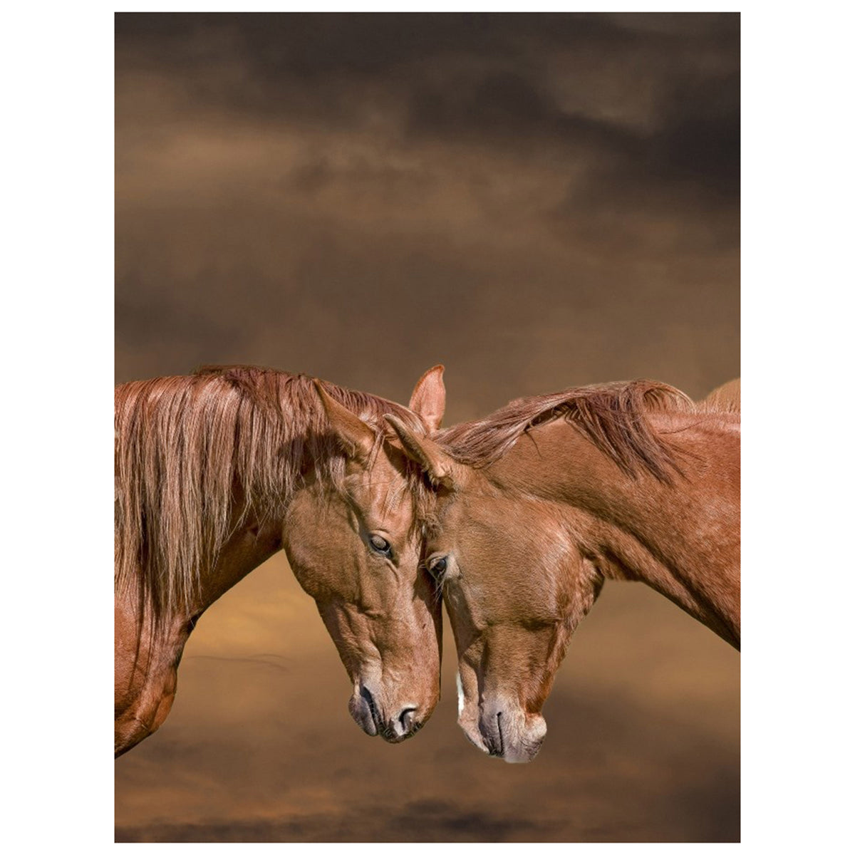 Gentle Horse Connection