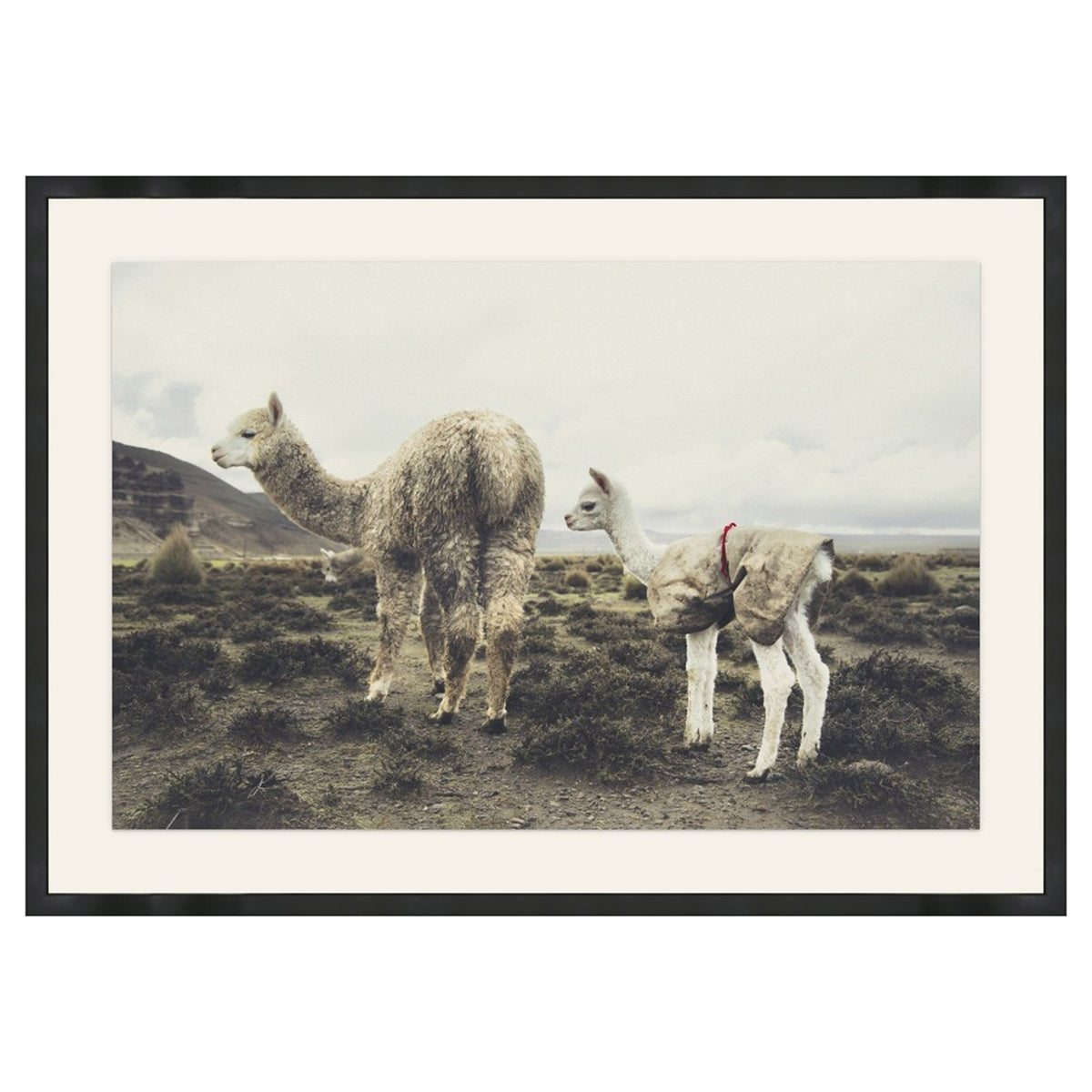 The Coated Cria featuring an alpaca and a young cria in a misty landscape with earthy textures.