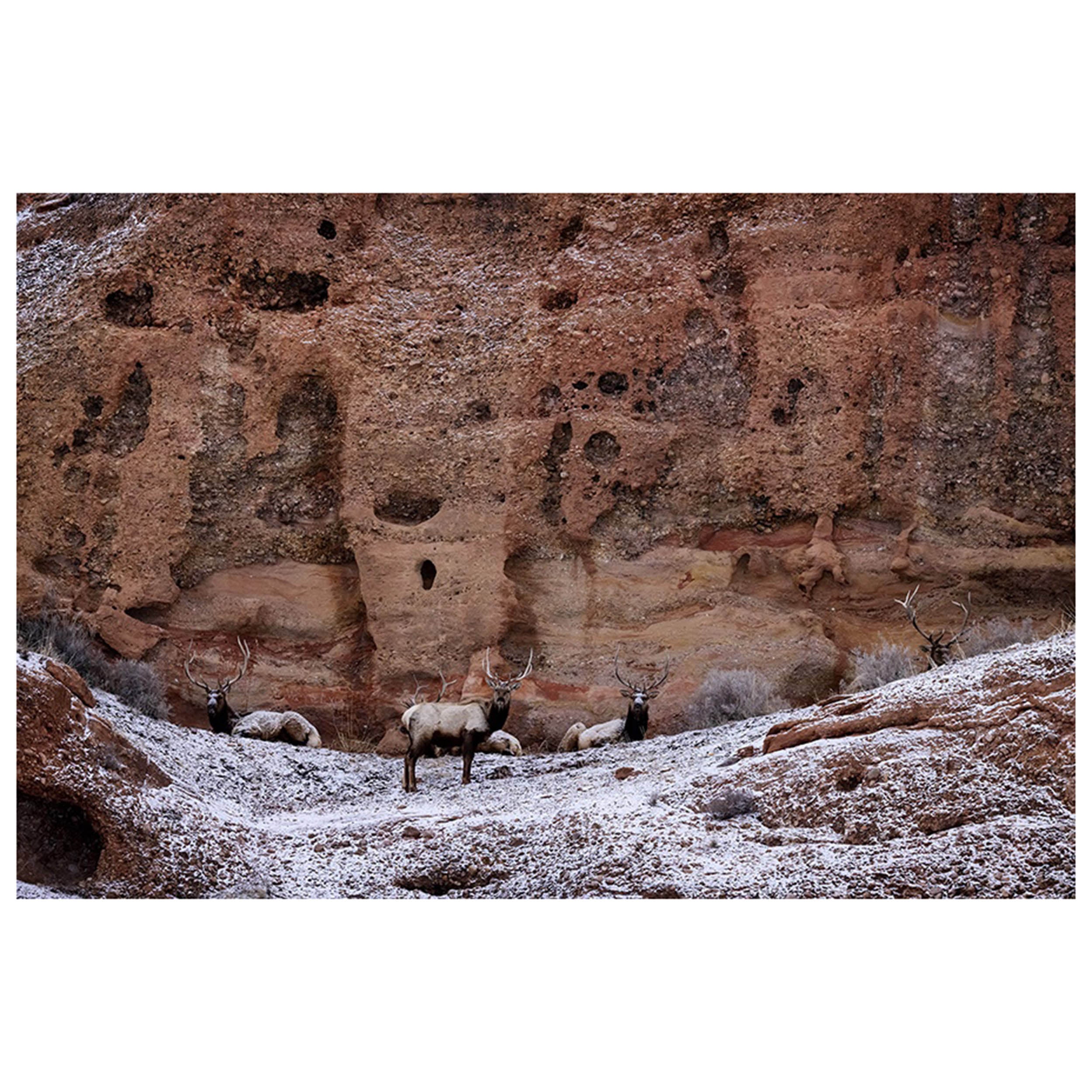Among the Red Rocks