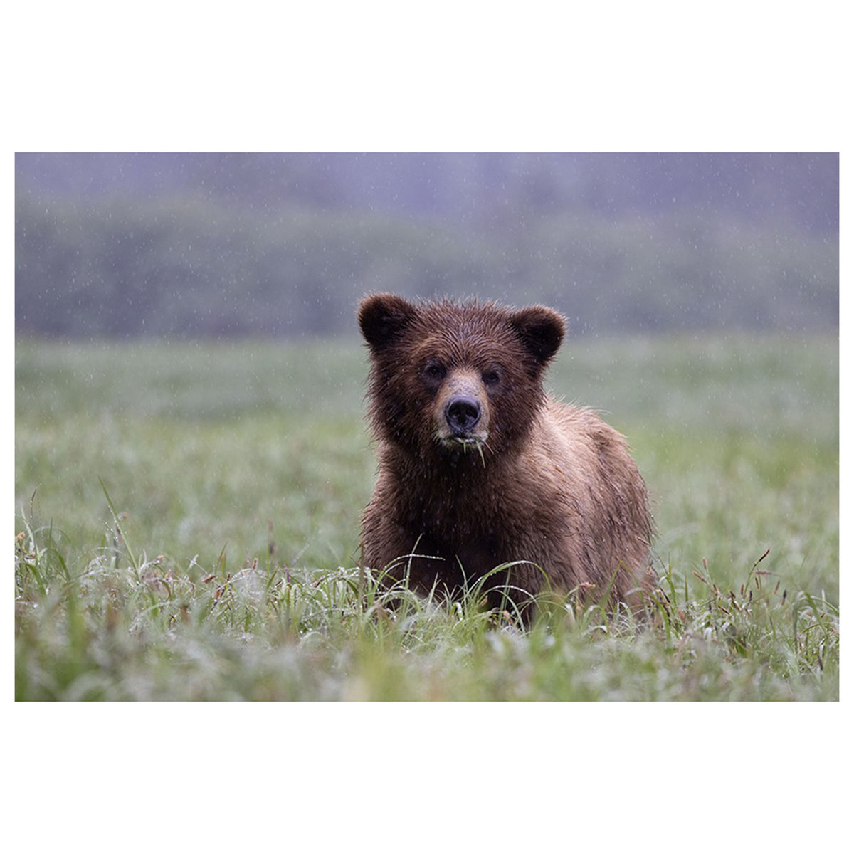I See You