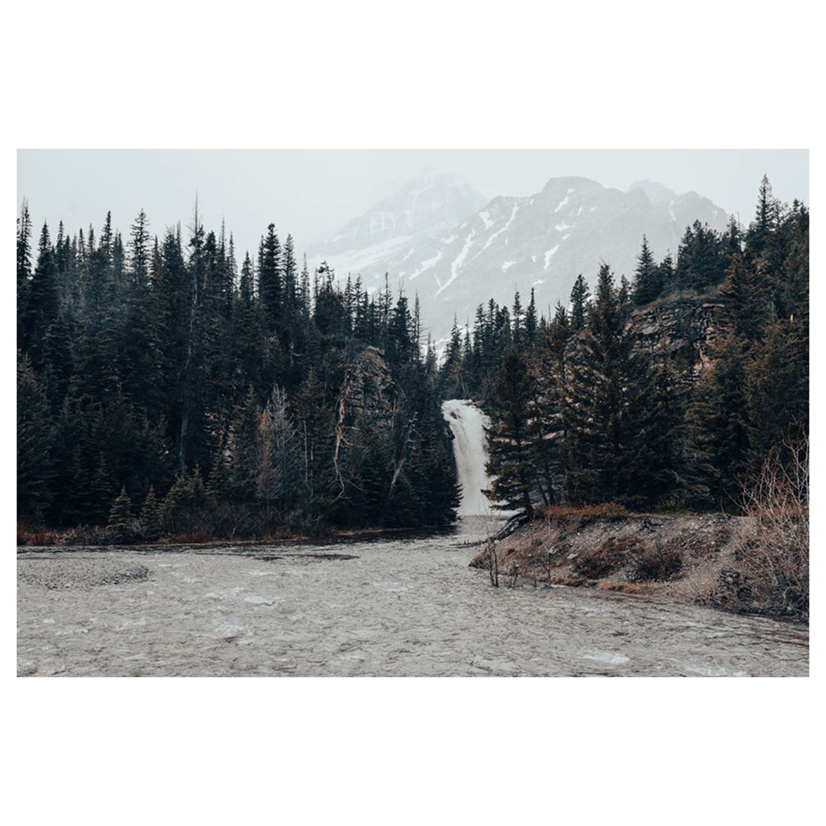 Montana 20