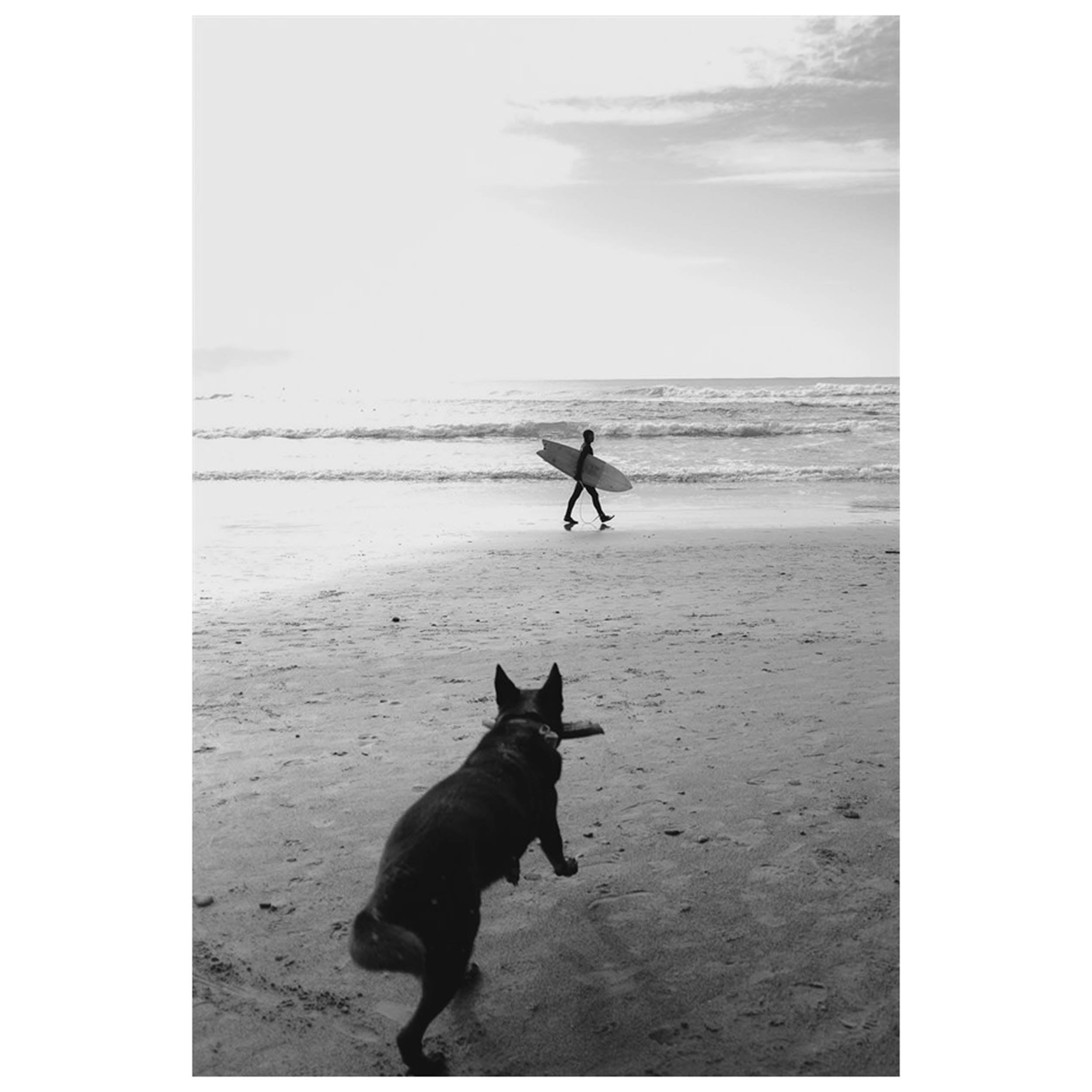 Fetch