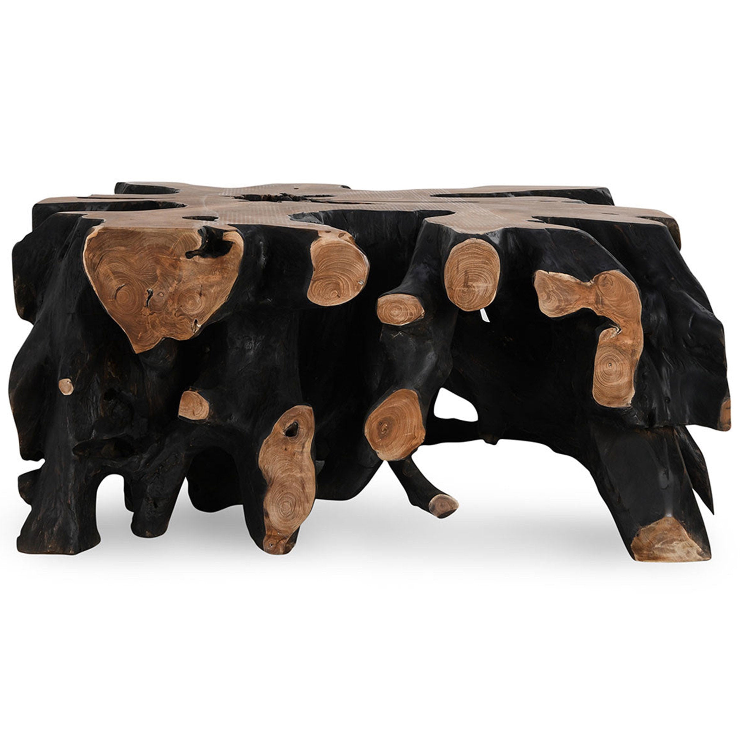 Cypress Square Teak Root Coffee Table, Black/Brown