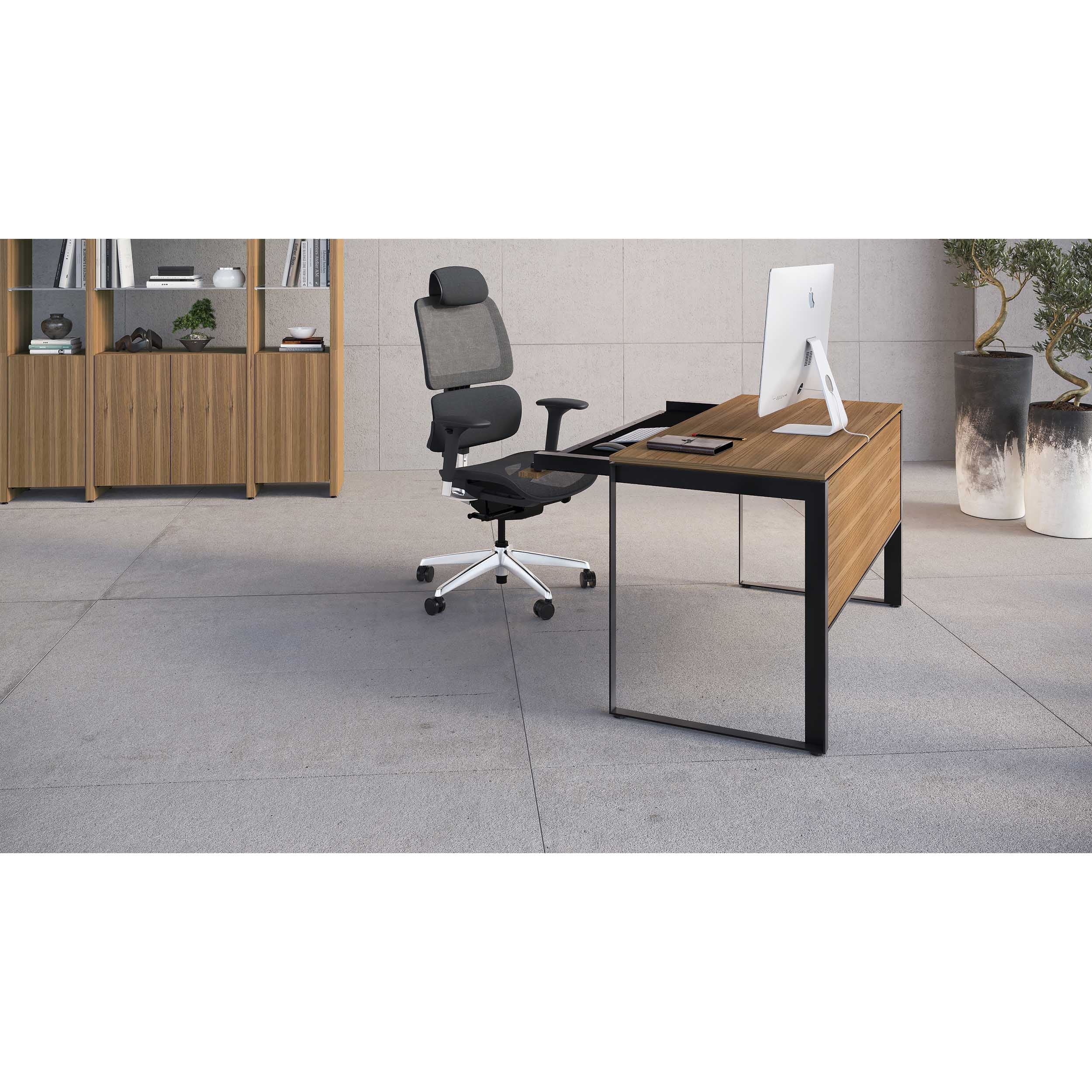 Linea 6221, Natural Walnut