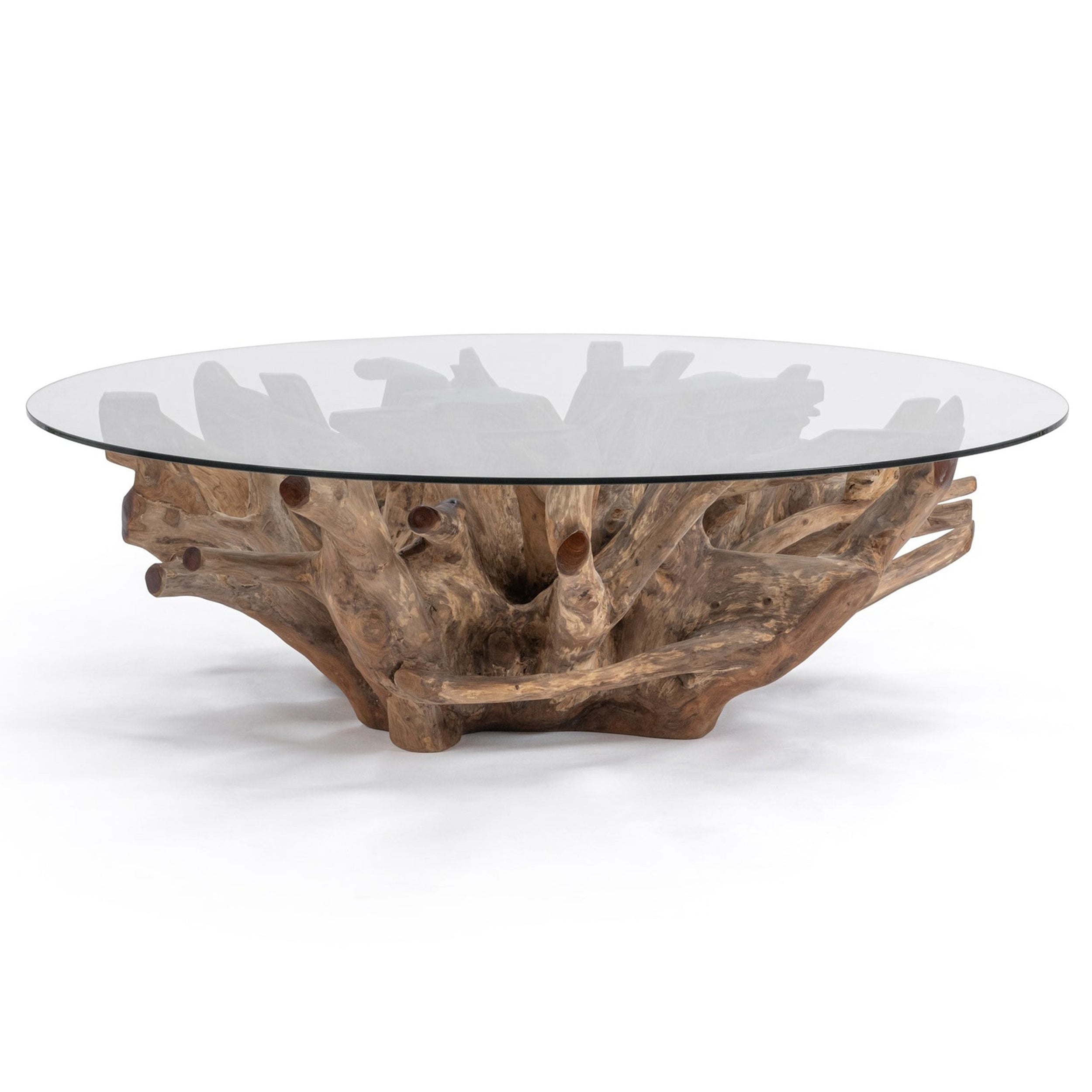 Willow Teak Root Glass Coffee Table, Natural White
