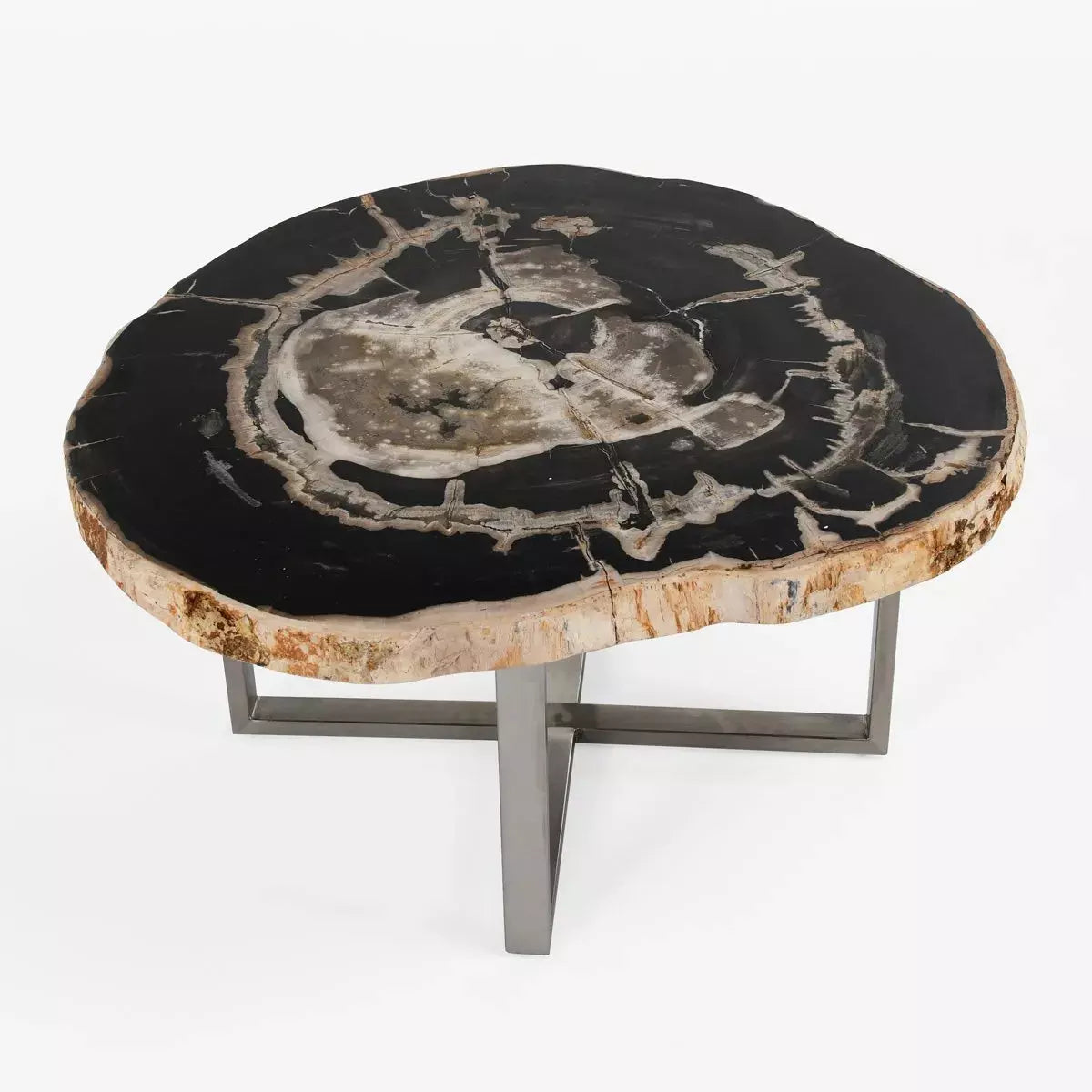 Pedra Petrified Wood Coffee Table