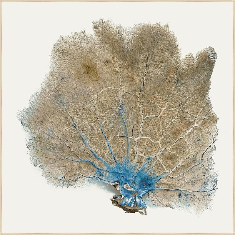 BLUE INFUSION I