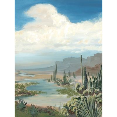Where the Cacti Live II