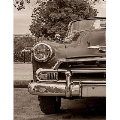 Sepia Bumper III