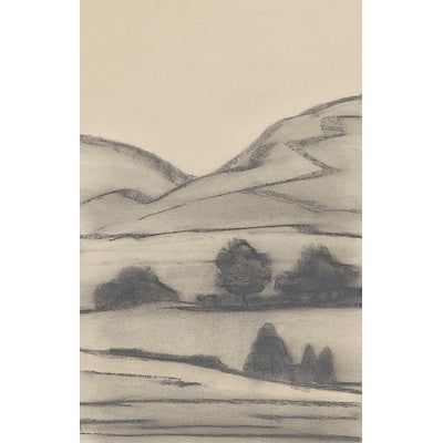 Land Studies IV