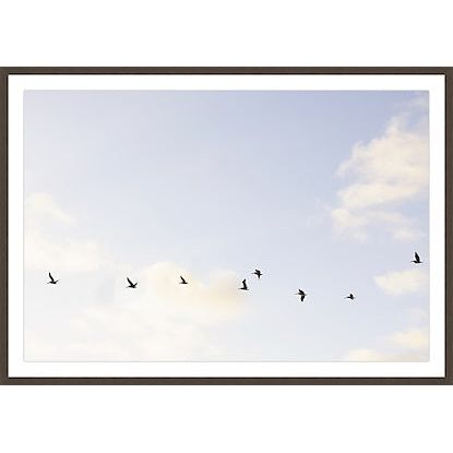 FLYING FREE