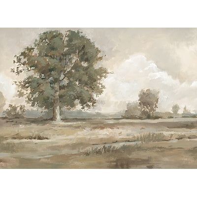 Sun-kissed Plains