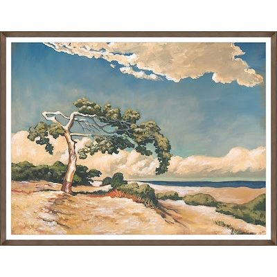 TUSCAN PINE