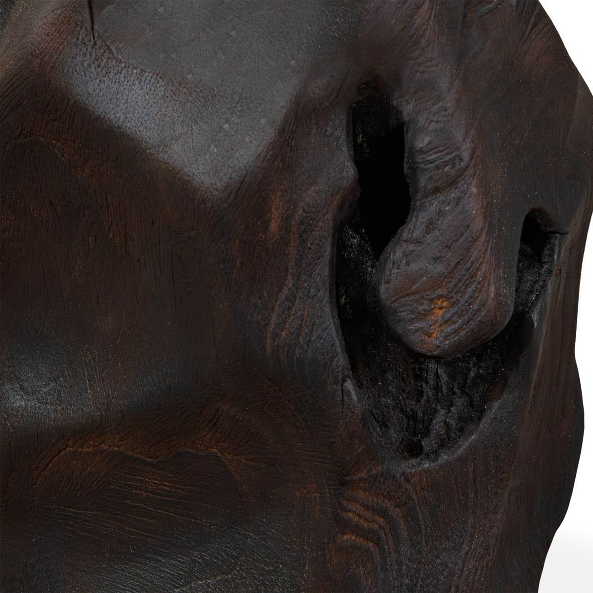 Ember Root, Burnt Black, Set of 2