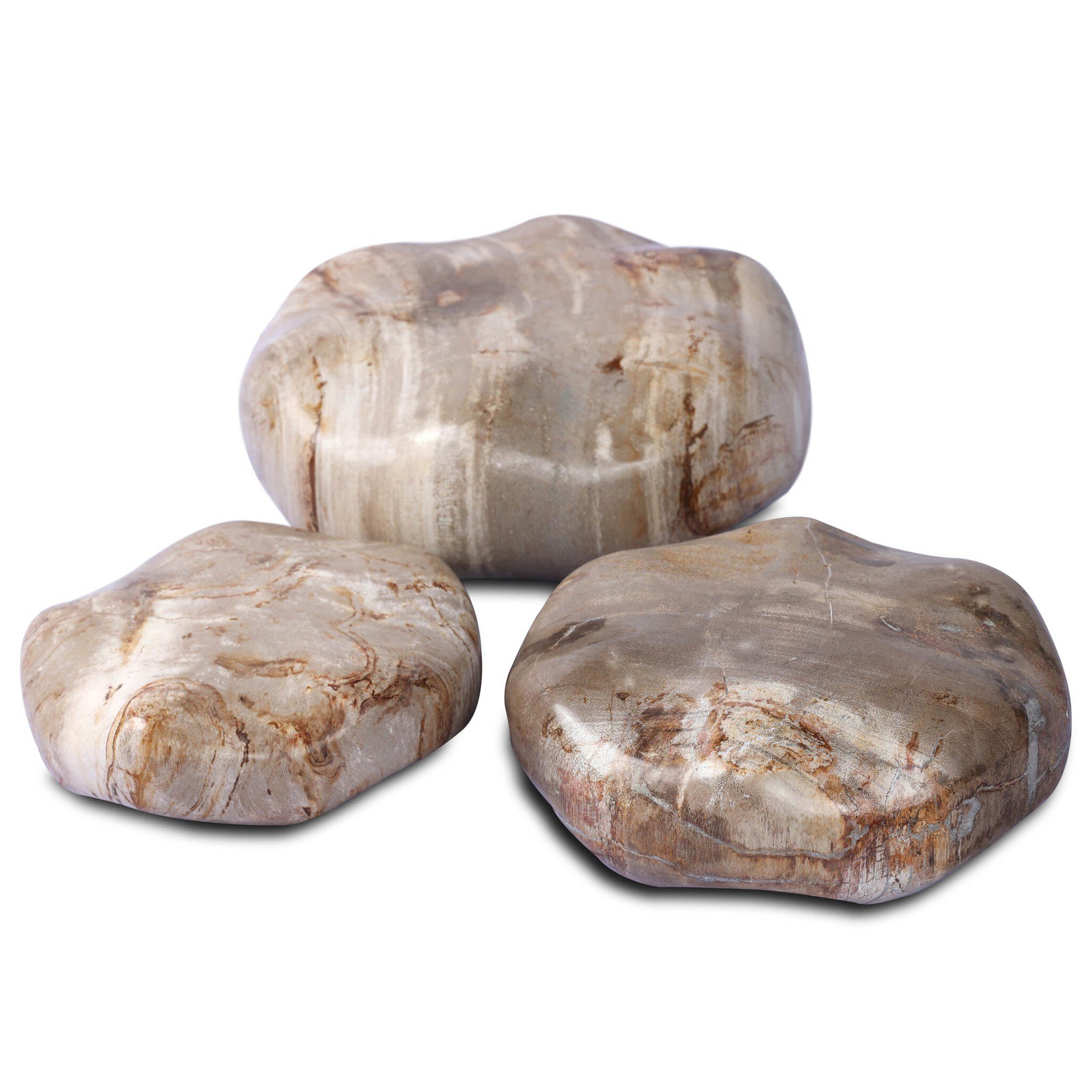 Petrified Wood Organic Sculpture, Set of 3, Light Petrified Wood