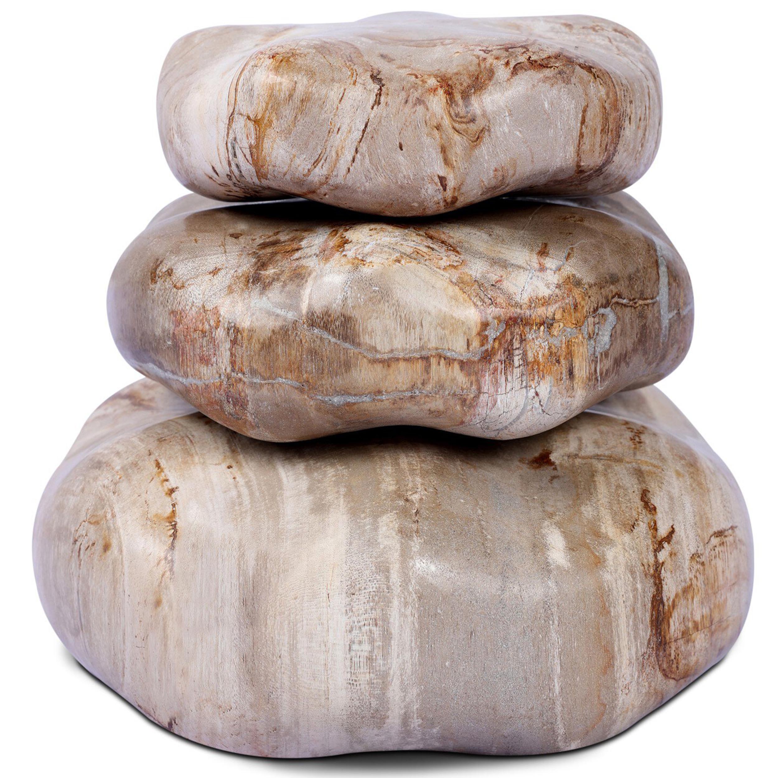 Petrified Wood Organic Sculpture, Set of 3, Light Petrified Wood