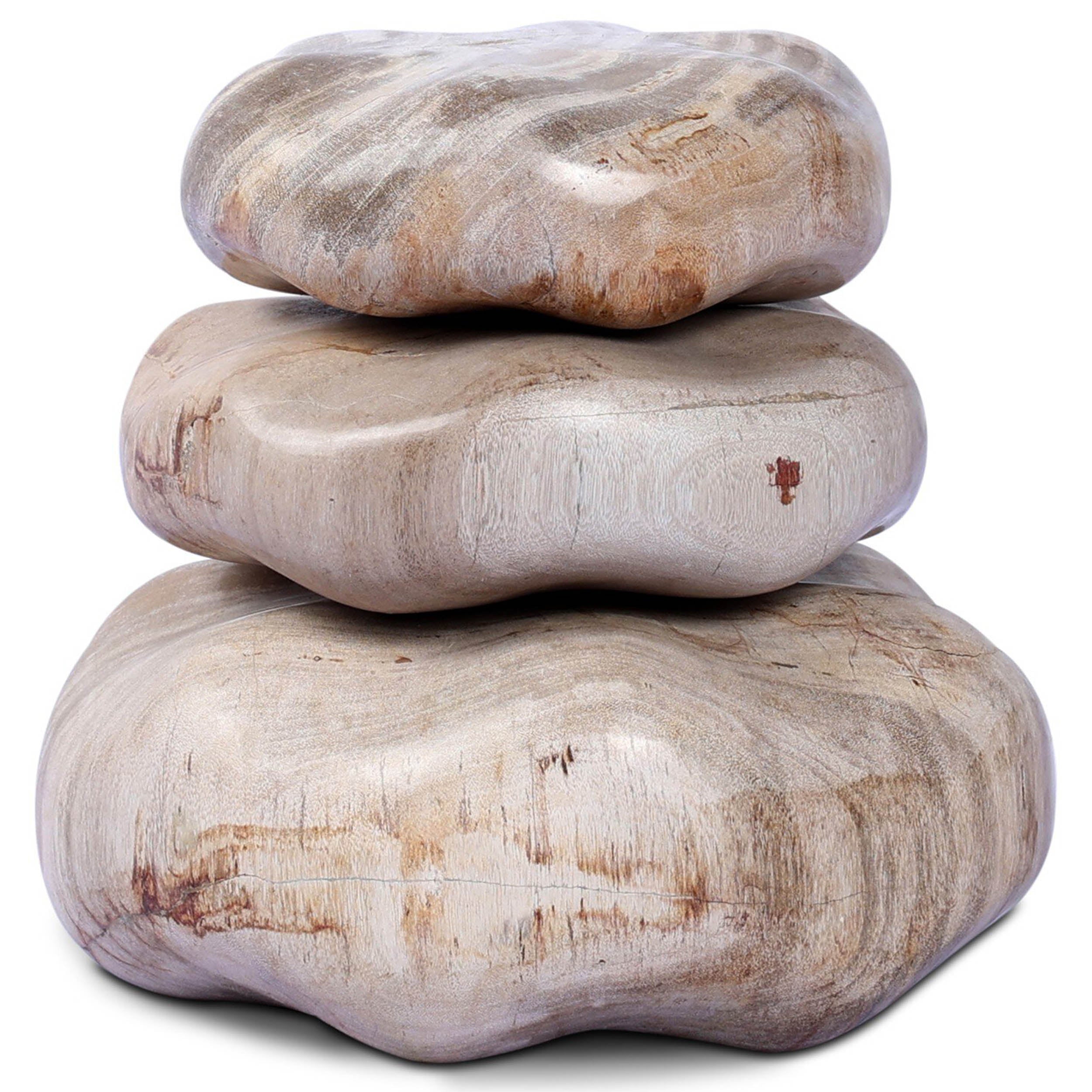 Petrified Wood Organic Sculpture, Set of 3, Light Petrified Wood