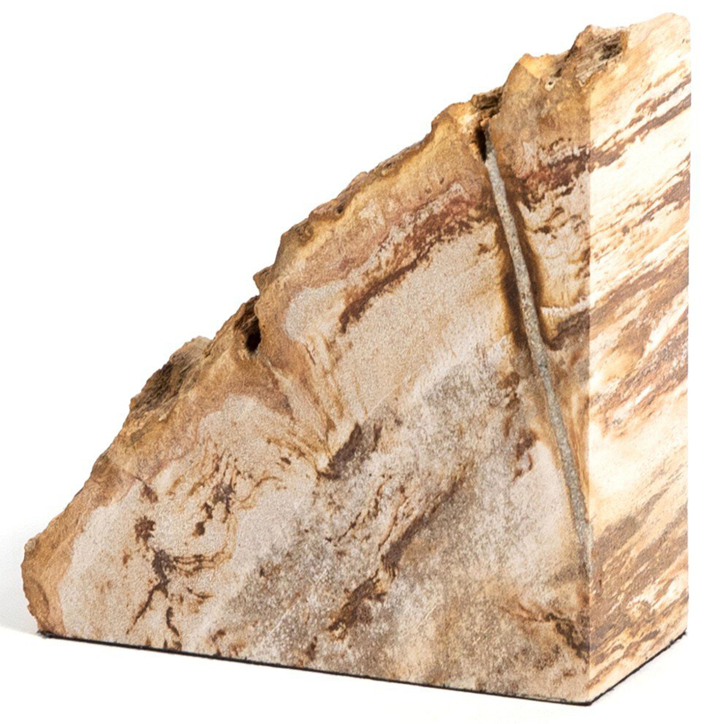 Petrified Wood Book Ends, Light Petrified Wood
