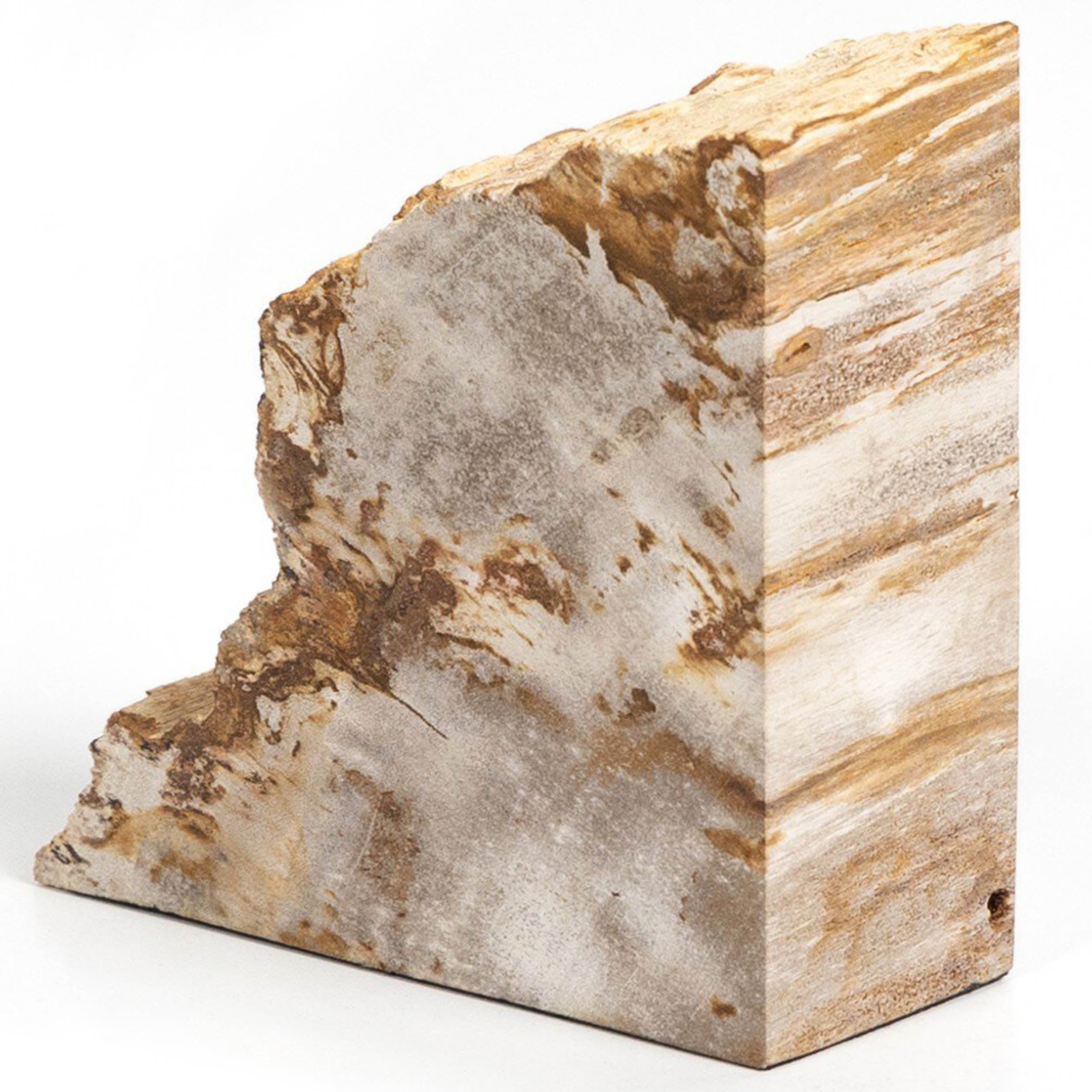 Petrified Wood Book Ends, Light Petrified Wood