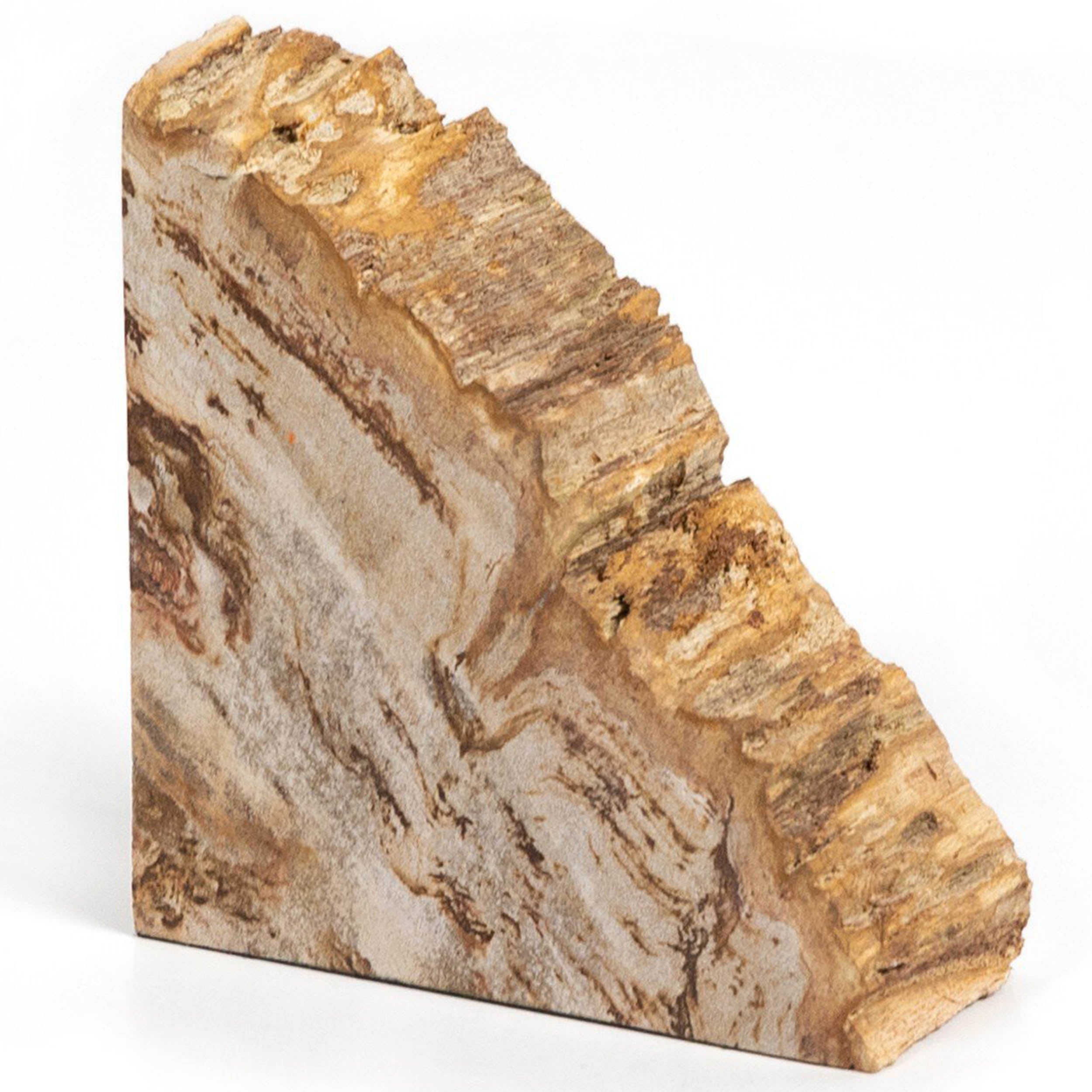 Petrified Wood Book Ends, Light Petrified Wood