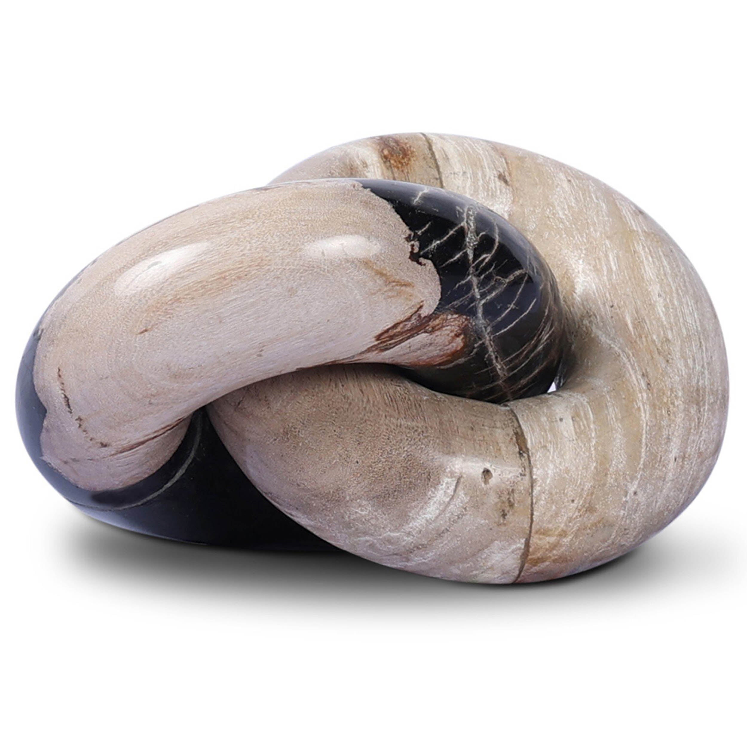 Petrified Wood Knot, Dark Petrified Wood
