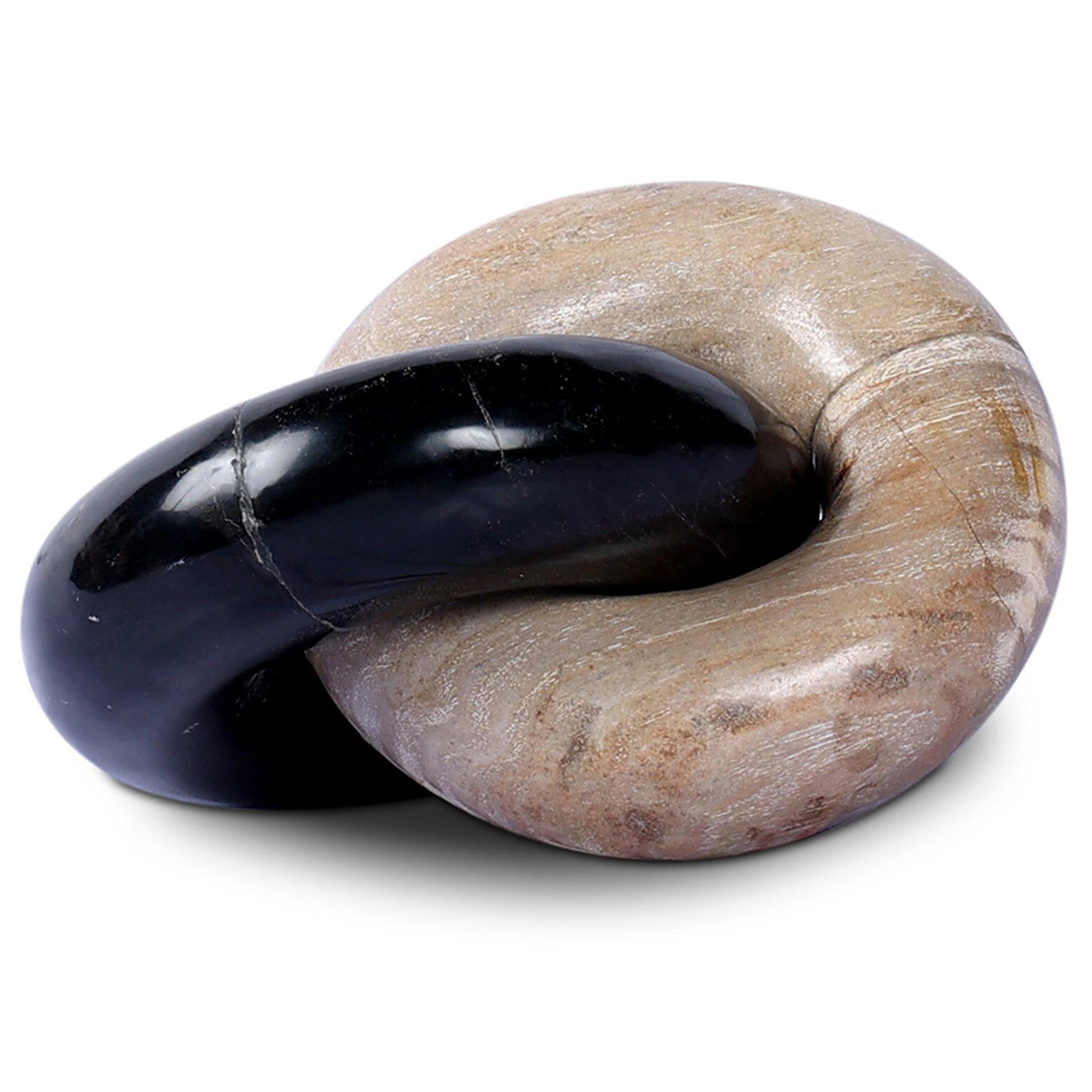 Petrified Wood Knot, Dark Petrified Wood