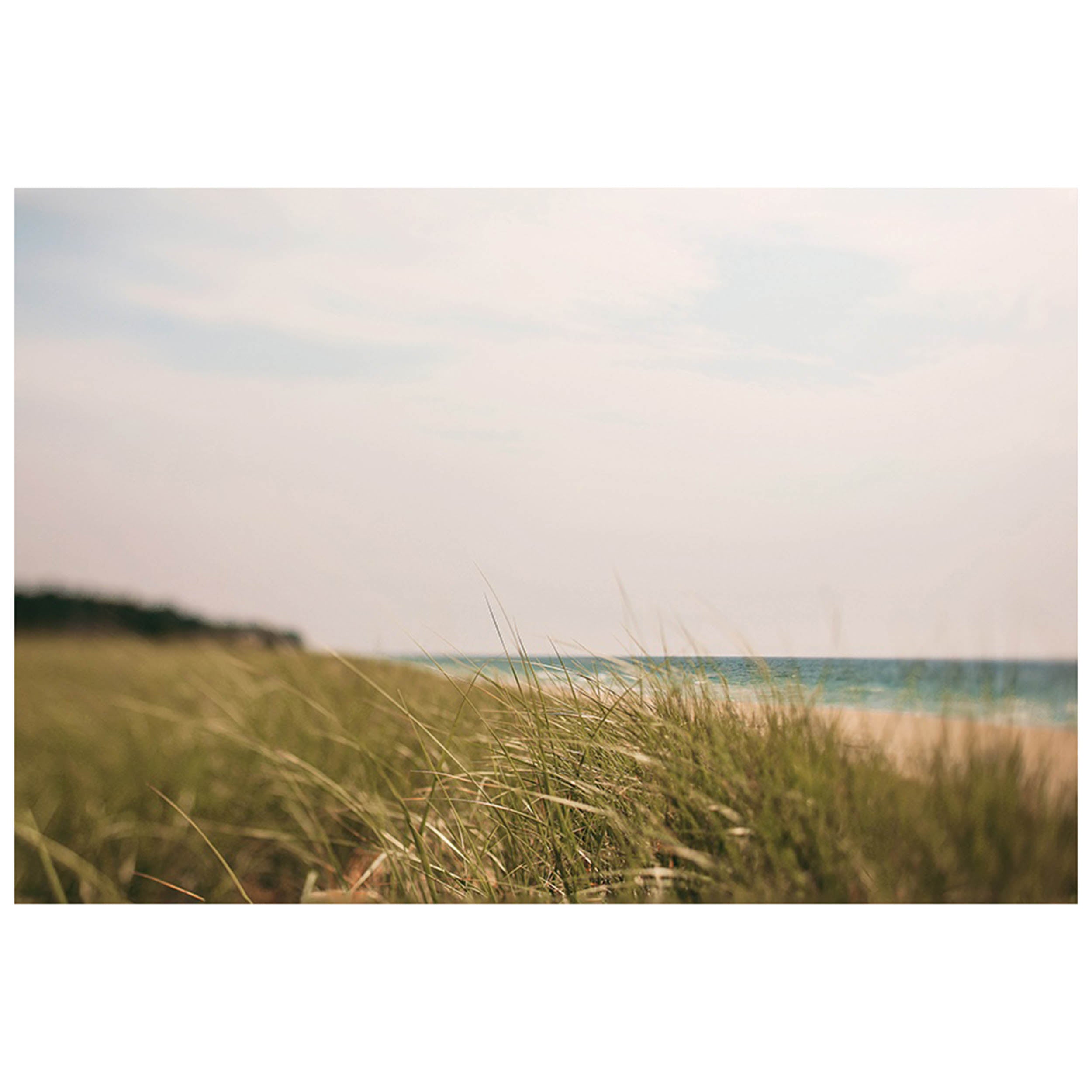 Lake Michigan Beach Grass